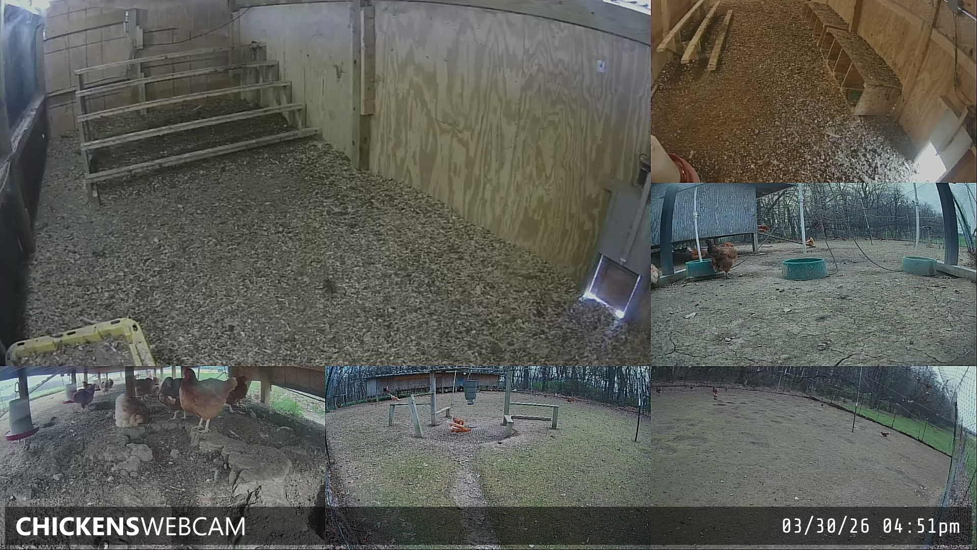 Twitch Stream Preview