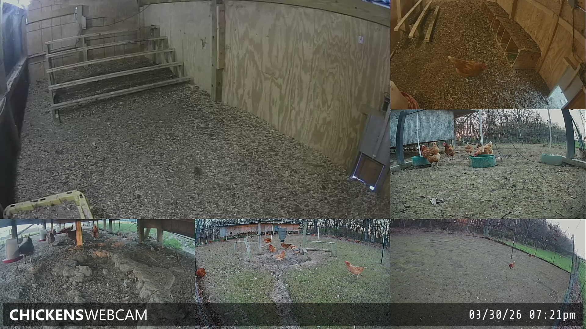 Twitch Stream Preview