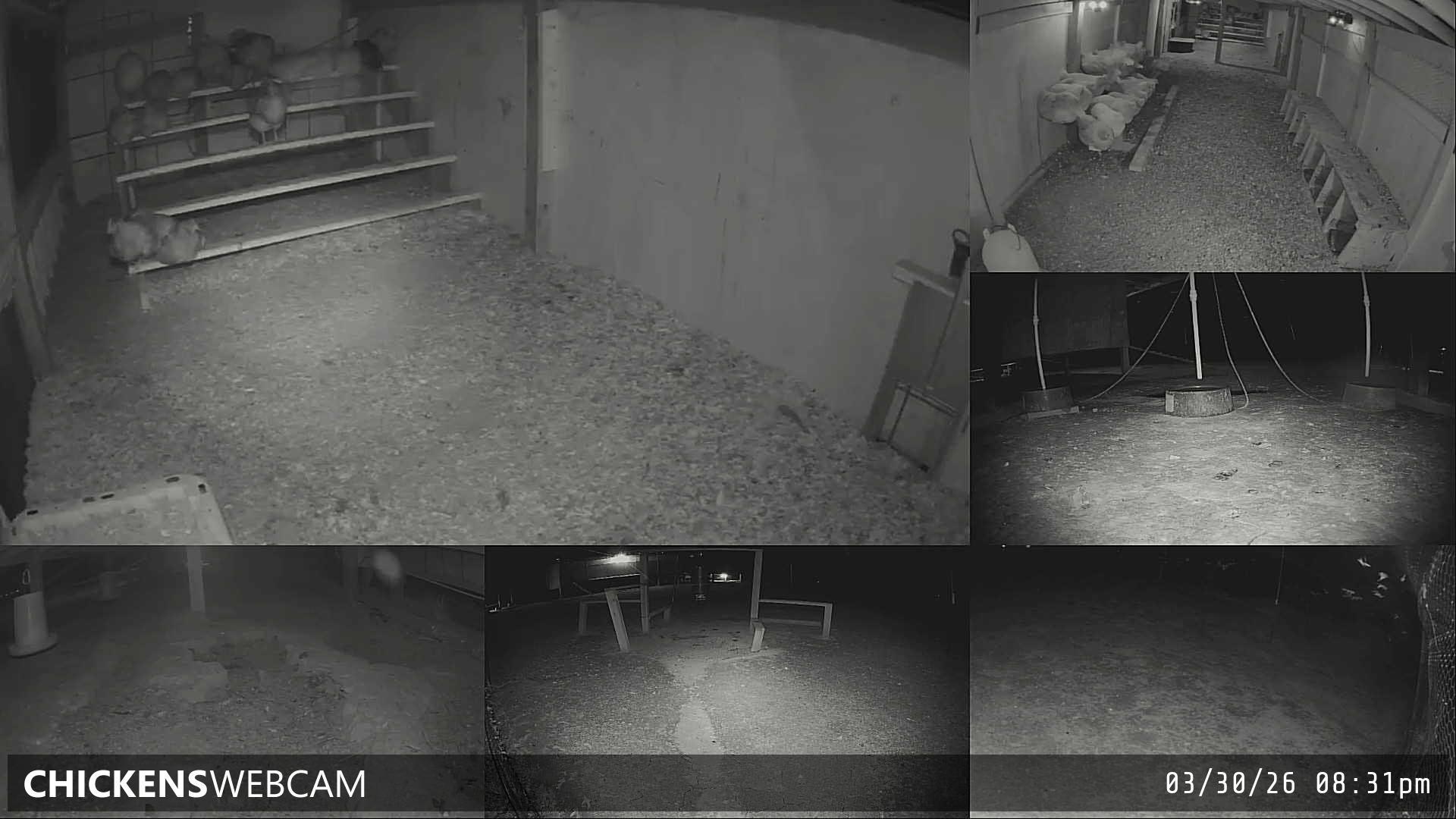 Twitch Stream Preview