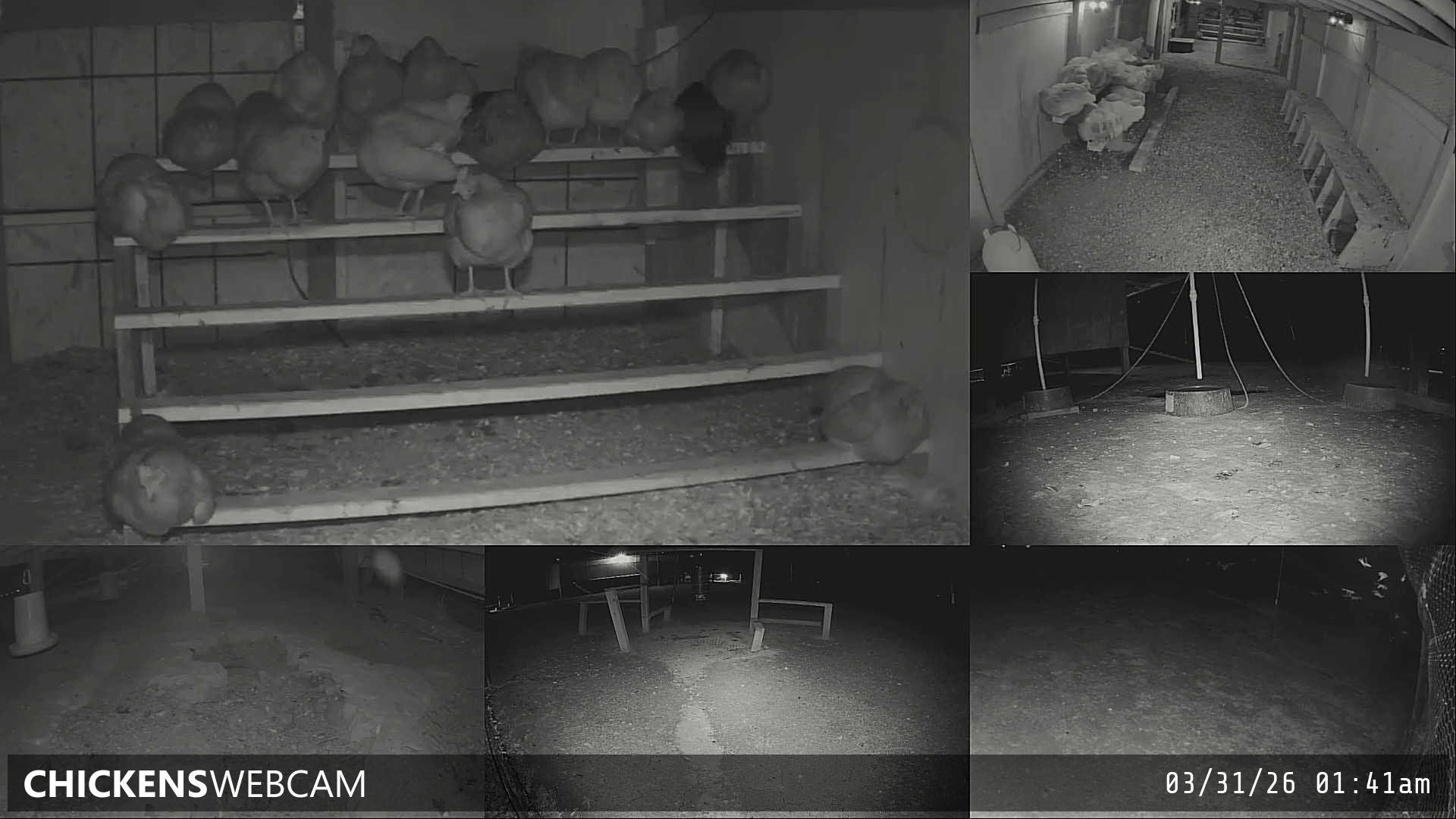 Twitch Stream Preview