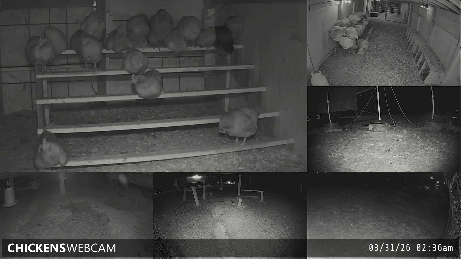 Twitch Stream Preview