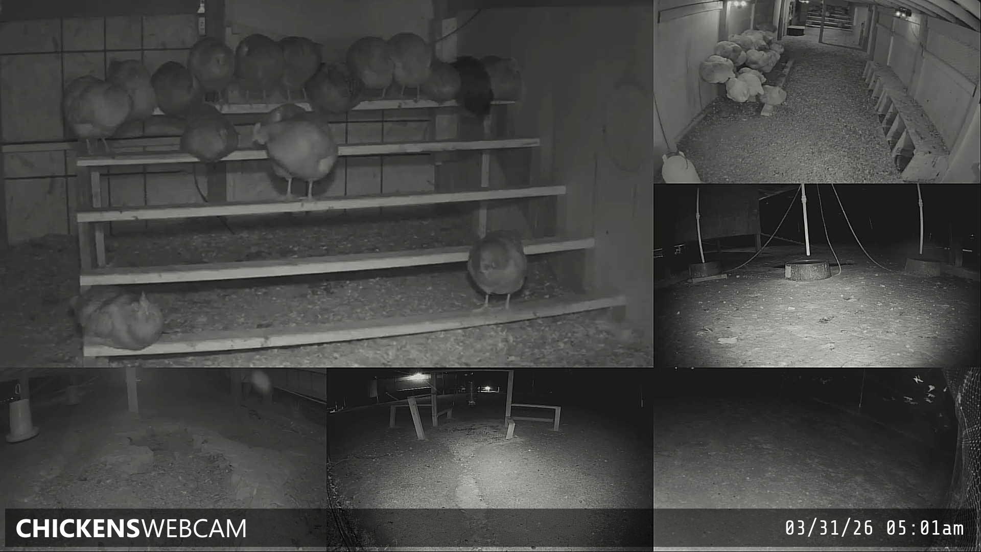 Twitch Stream Preview