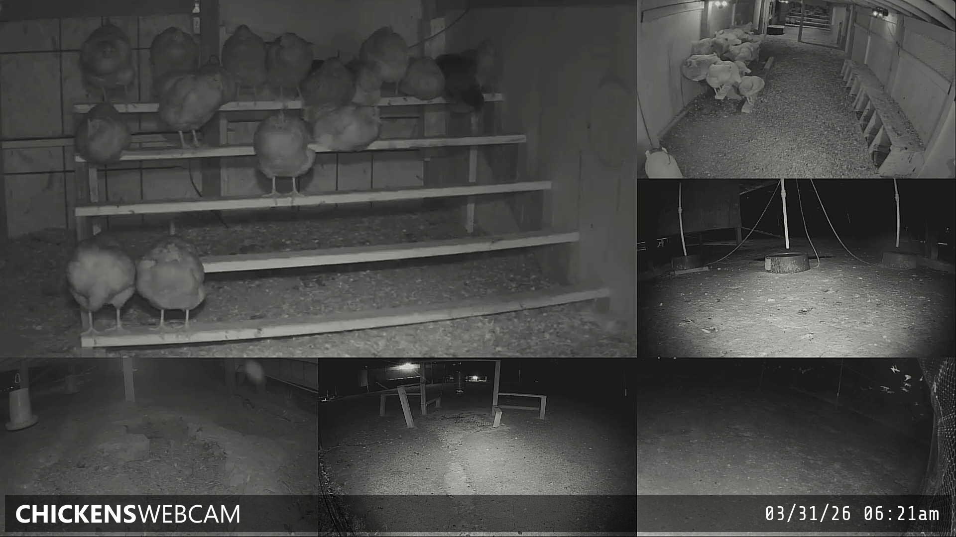 Twitch Stream Preview