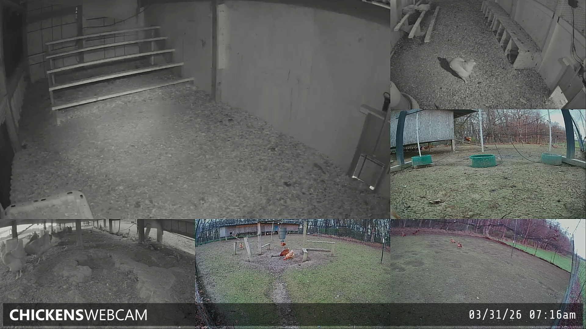 Twitch Stream Preview