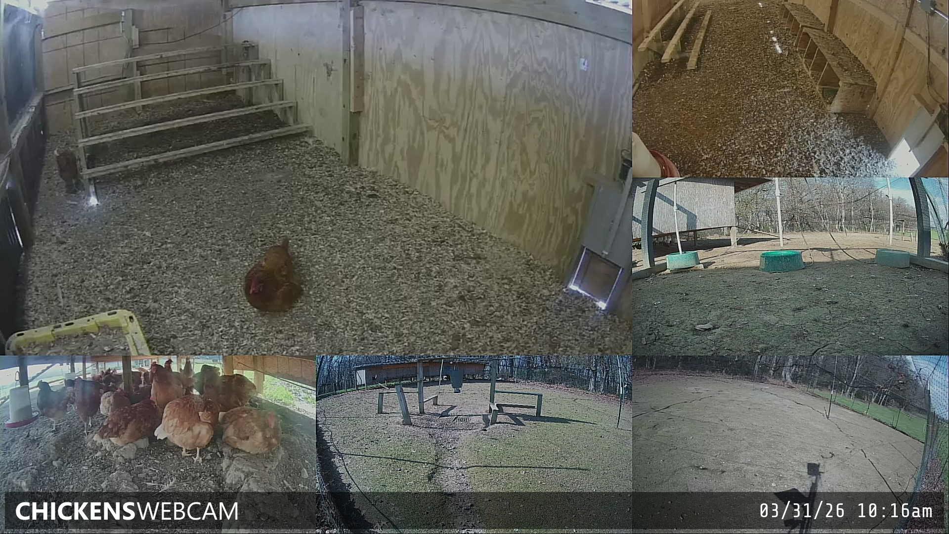 Twitch Stream Preview