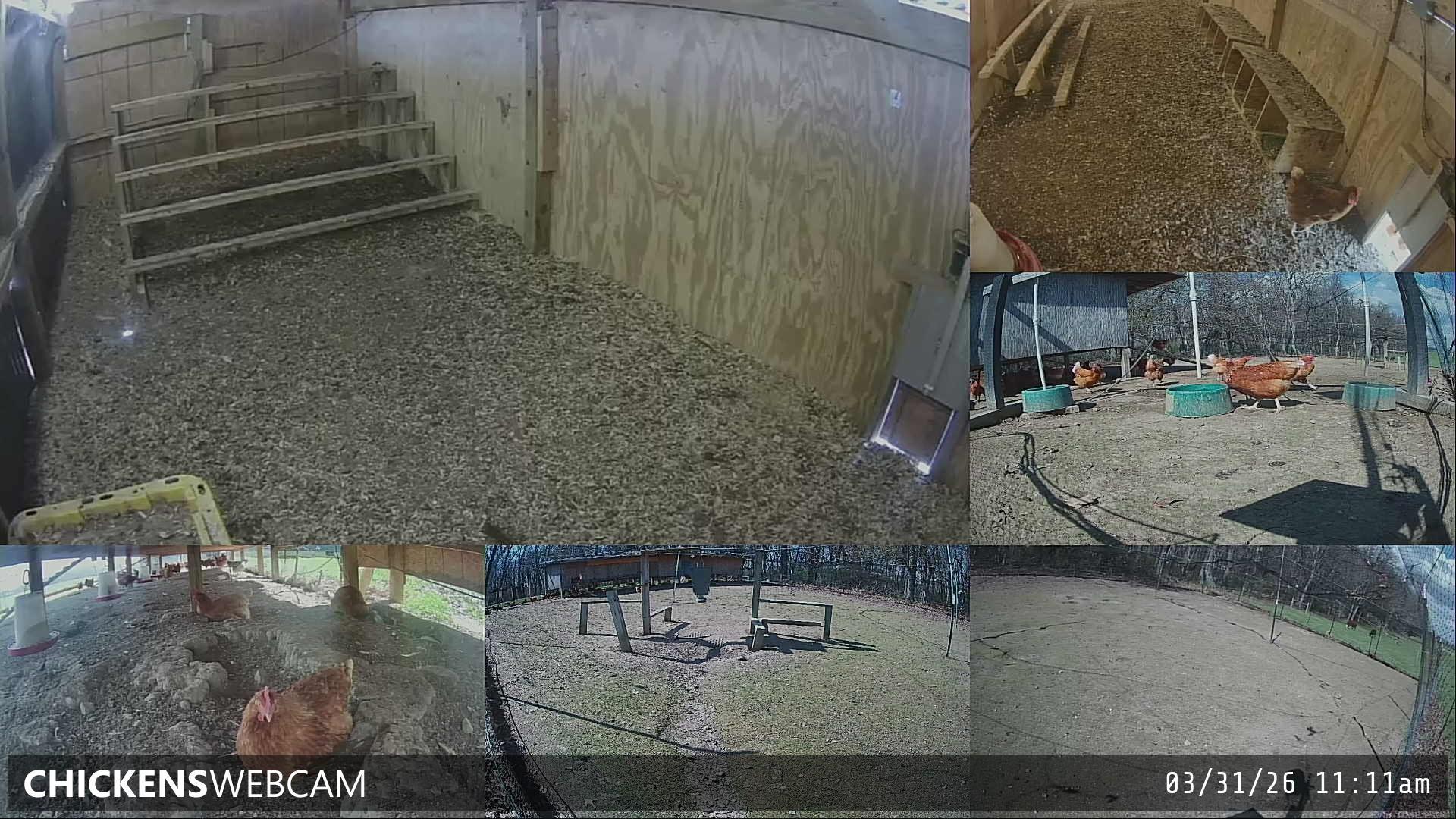 Twitch Stream Preview