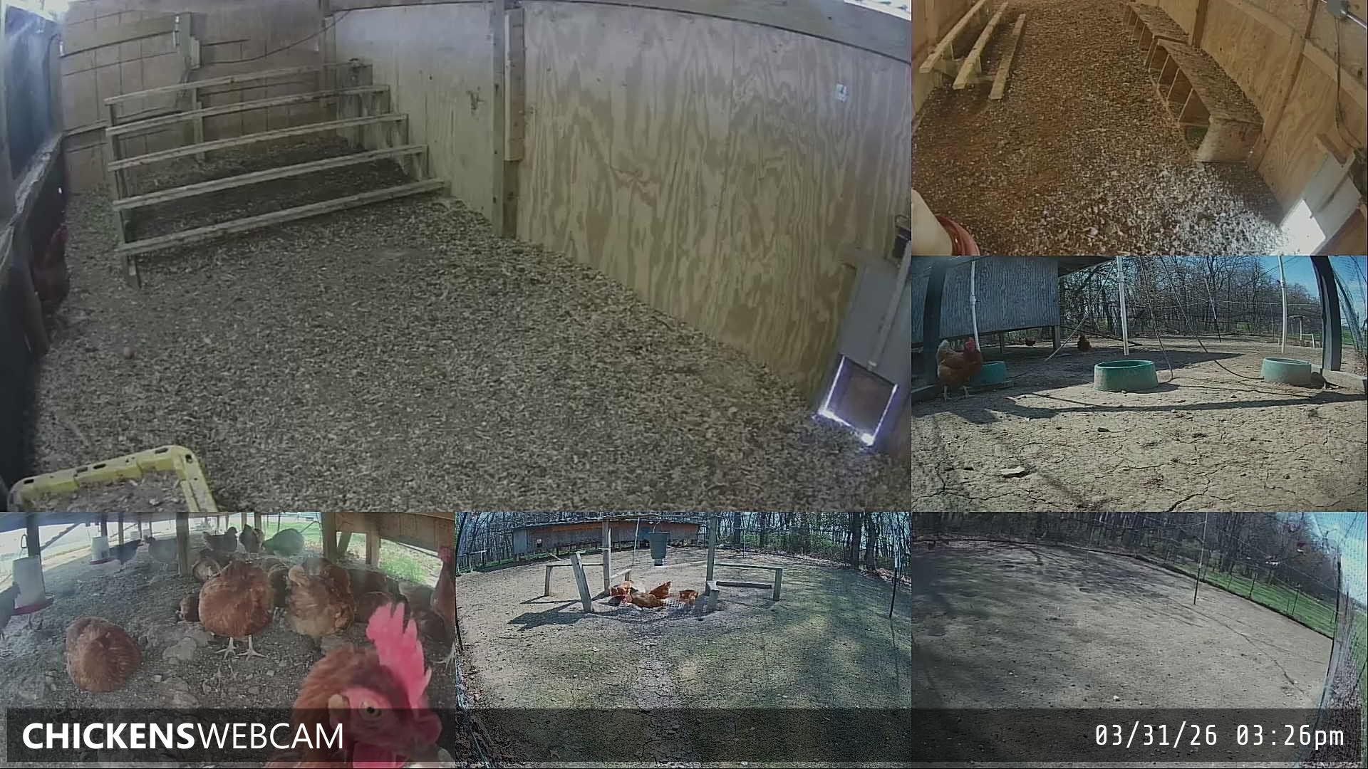 Twitch Stream Preview