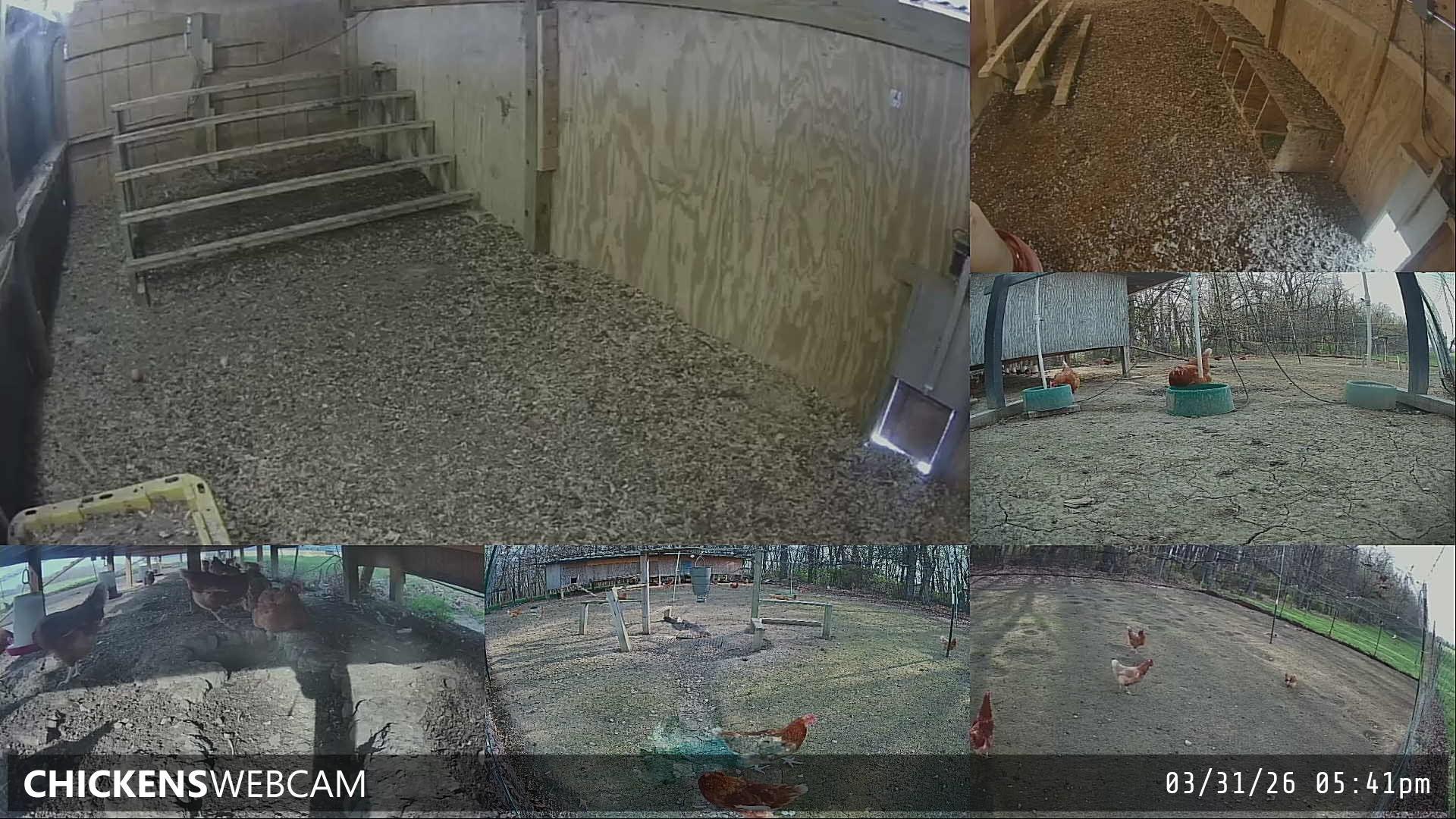 Twitch Stream Preview