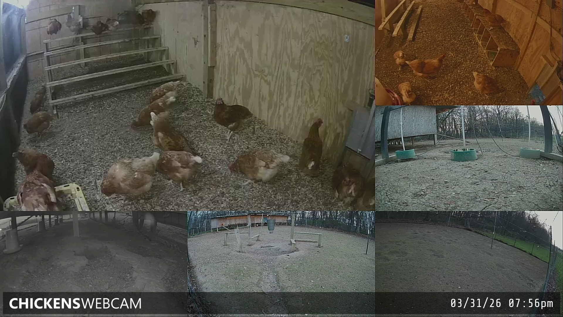 Twitch Stream Preview