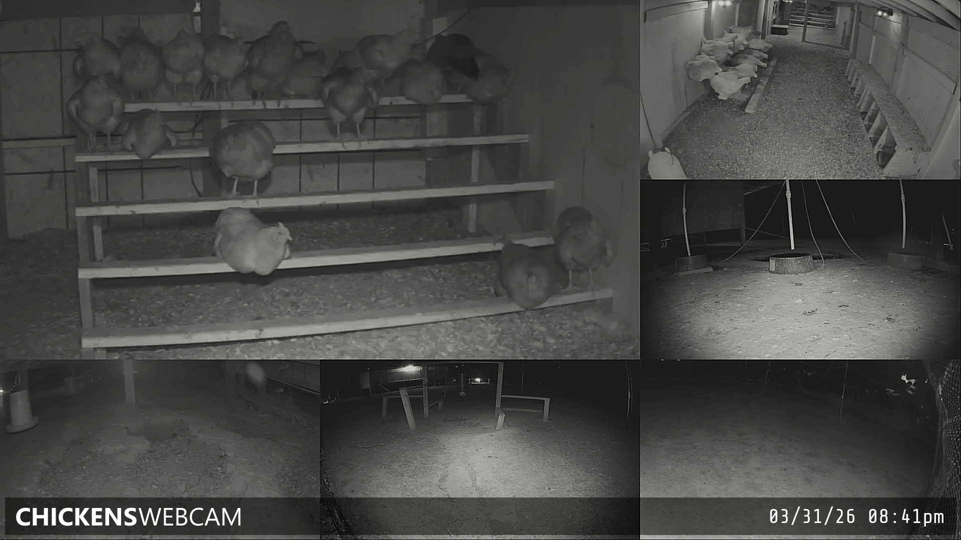 Twitch Stream Preview