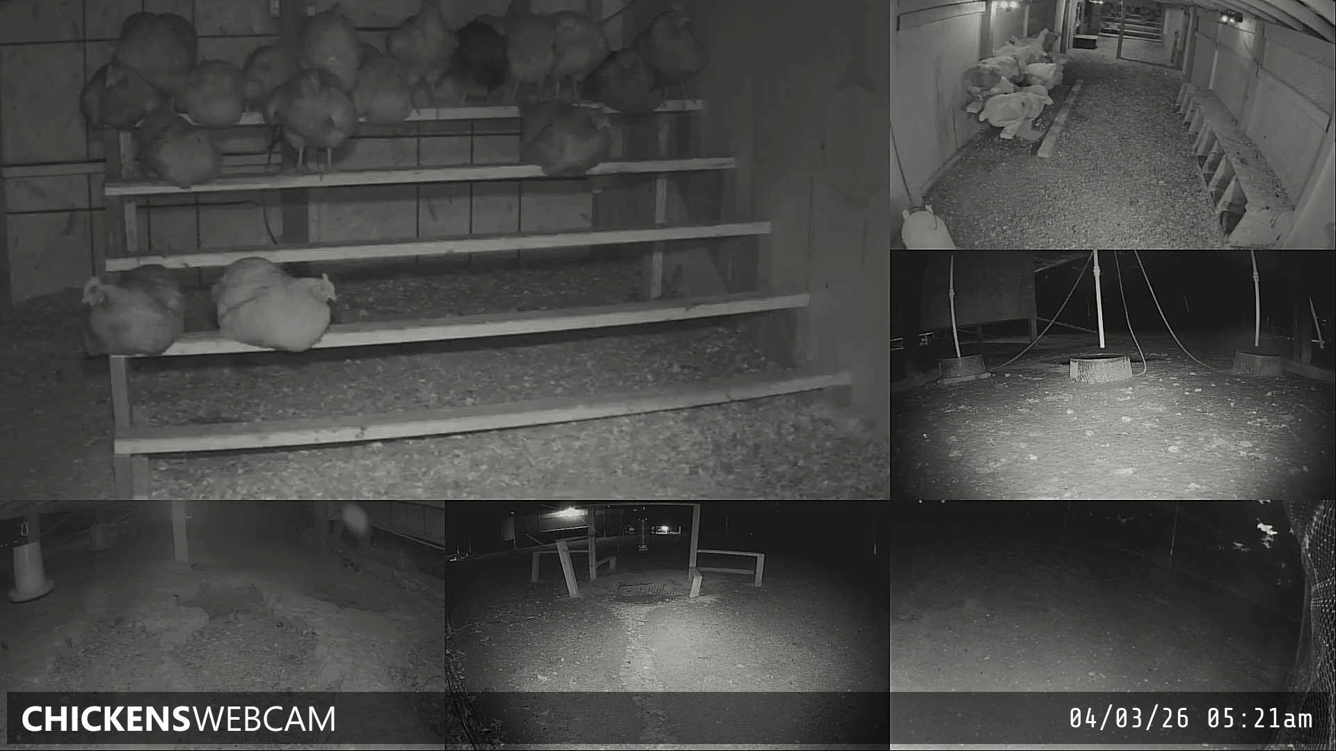 Twitch Stream Preview