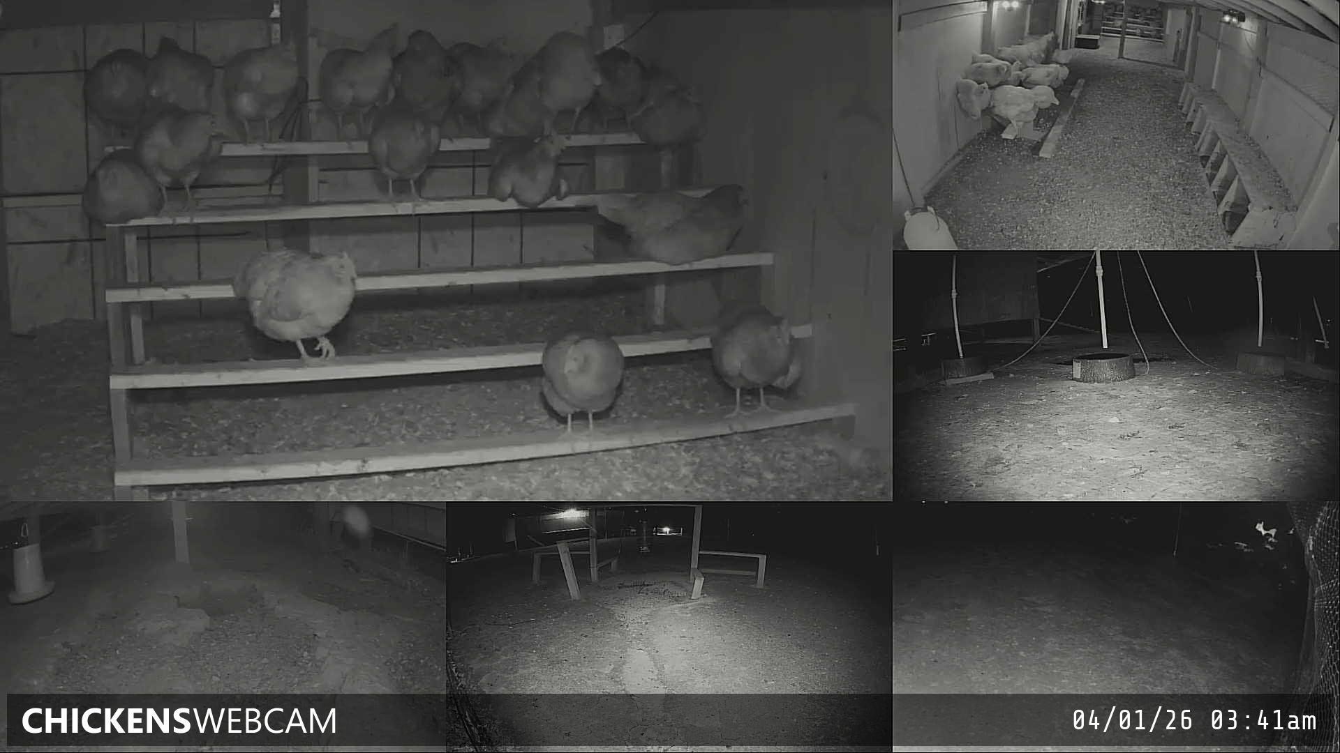 Twitch Stream Preview