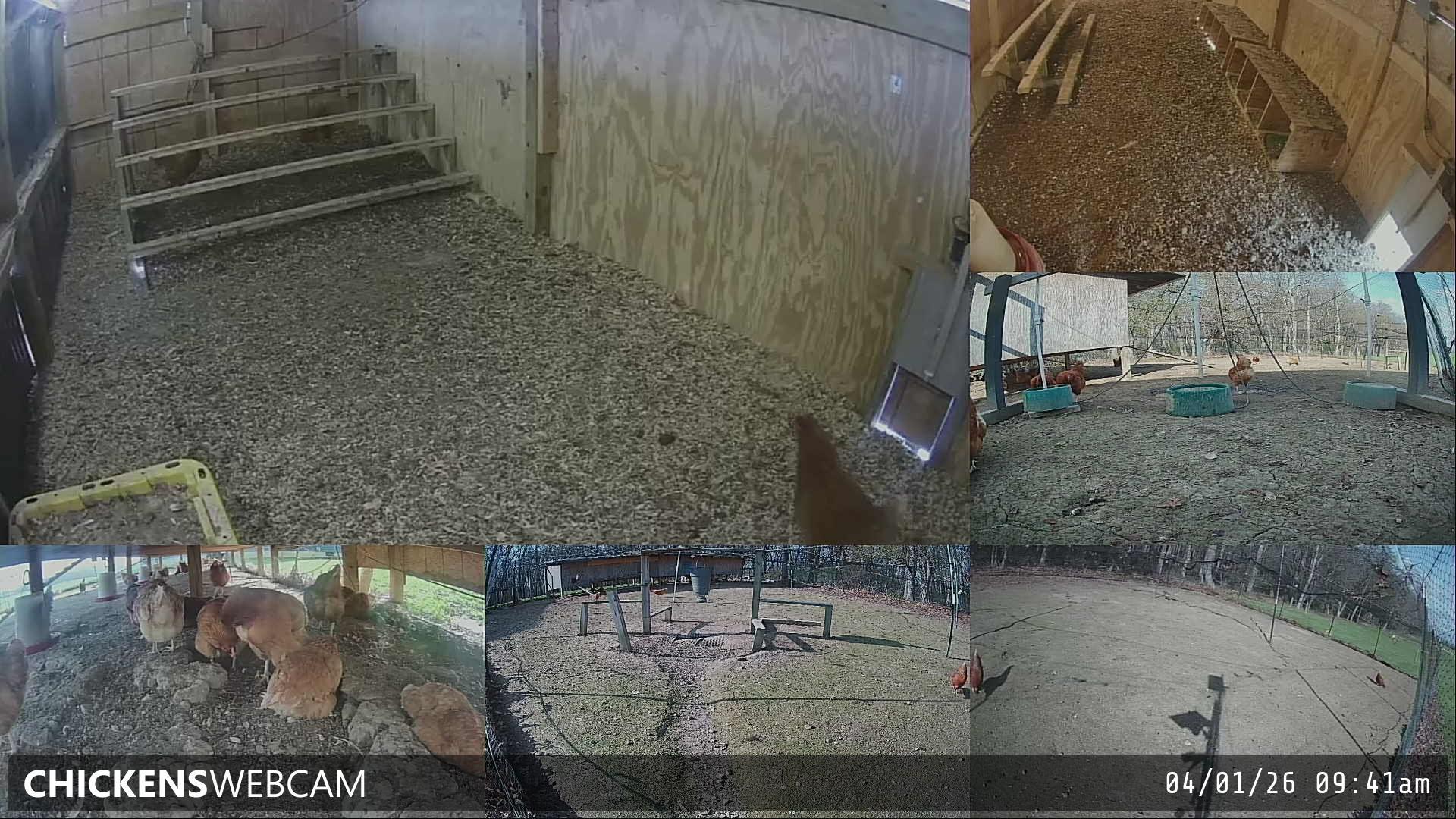 Twitch Stream Preview