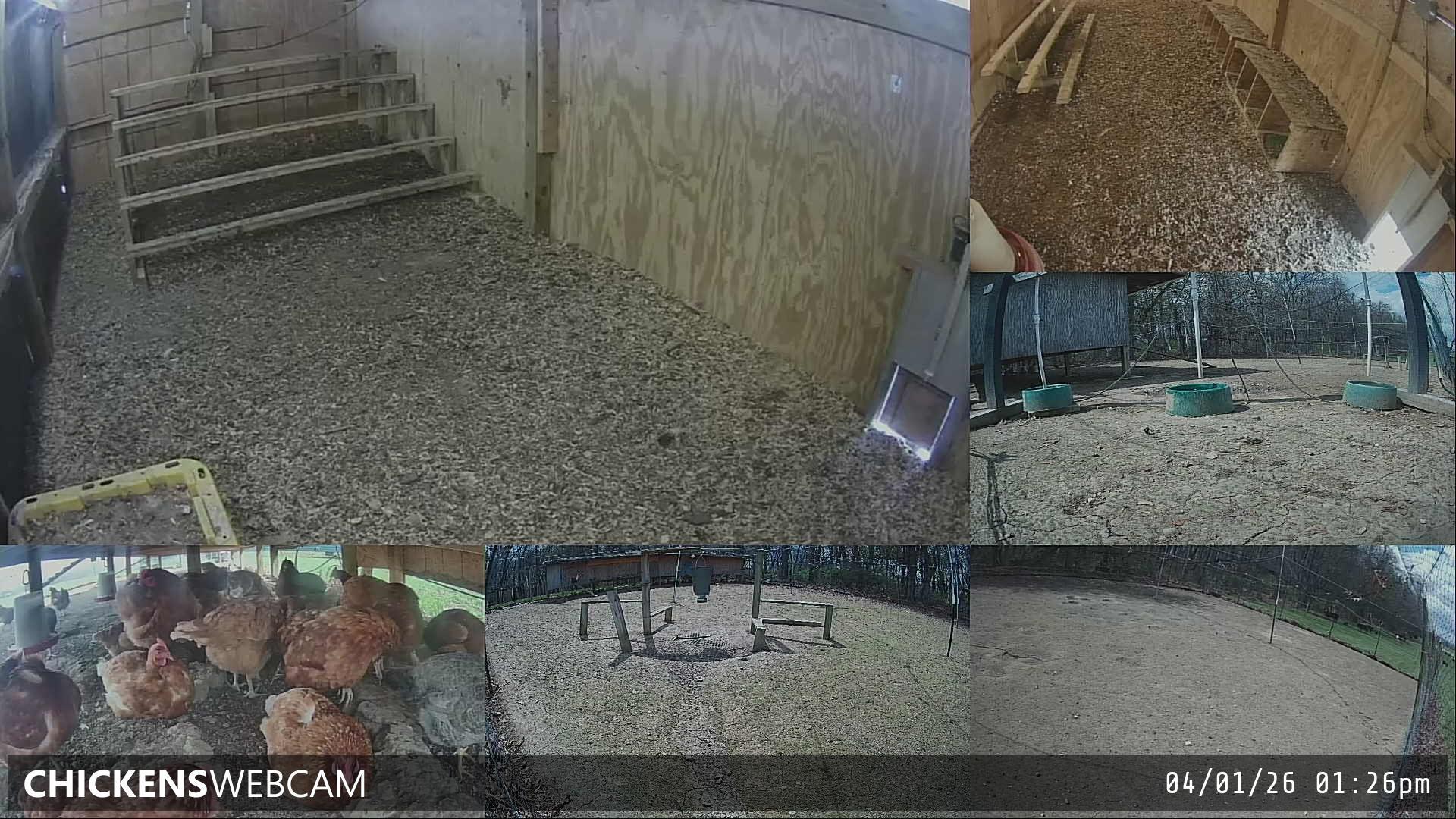 Twitch Stream Preview