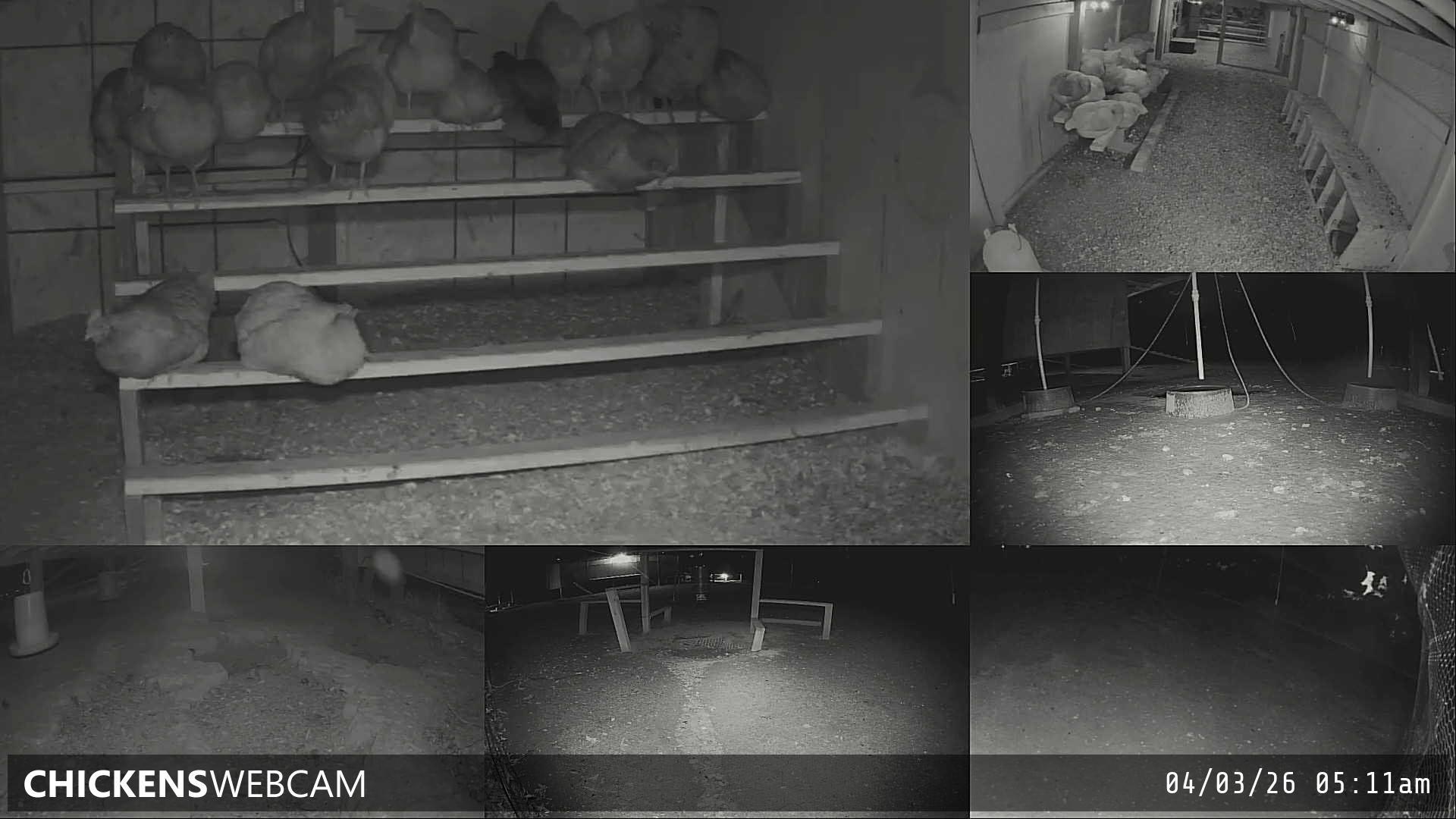 Twitch Stream Preview