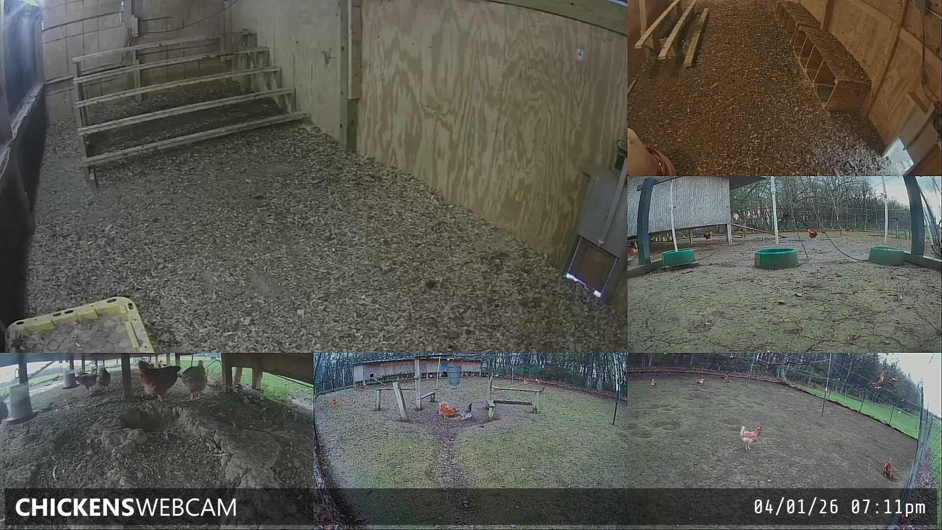 Twitch Stream Preview