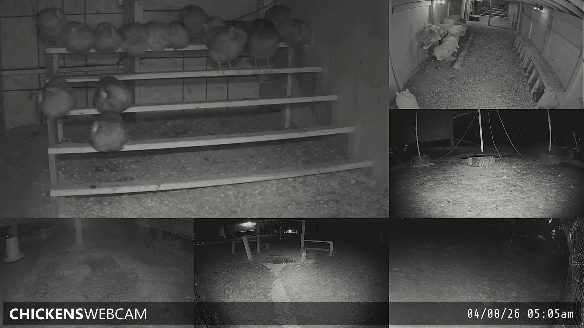 Twitch Stream Preview