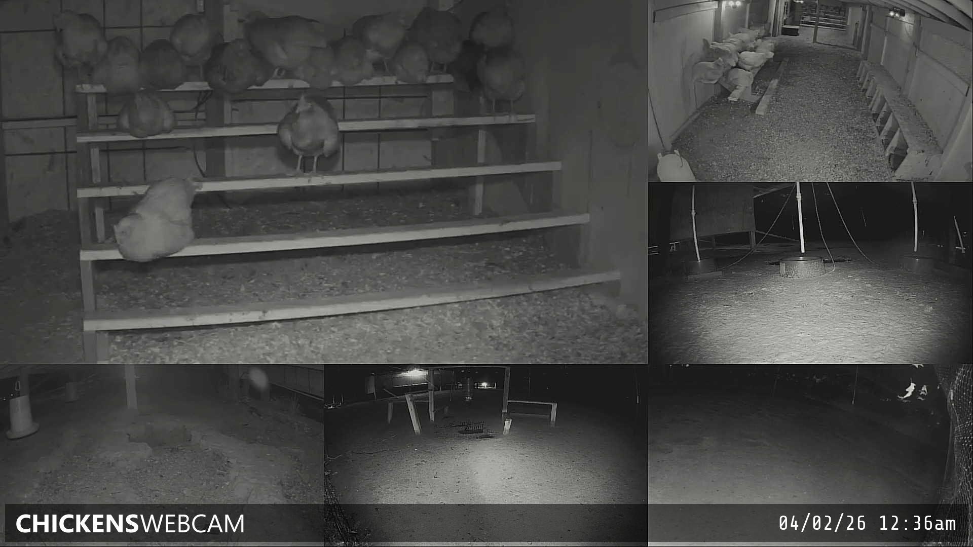 Twitch Stream Preview