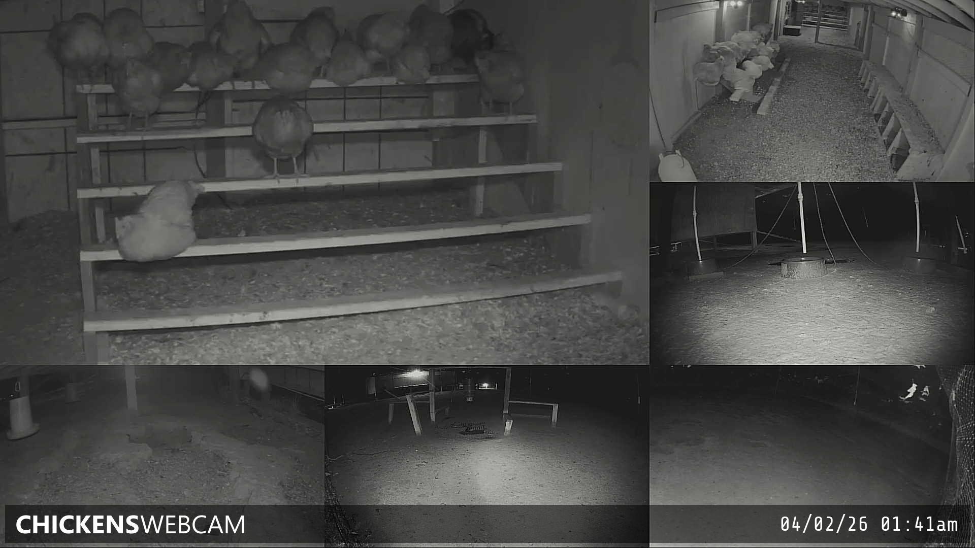 Twitch Stream Preview