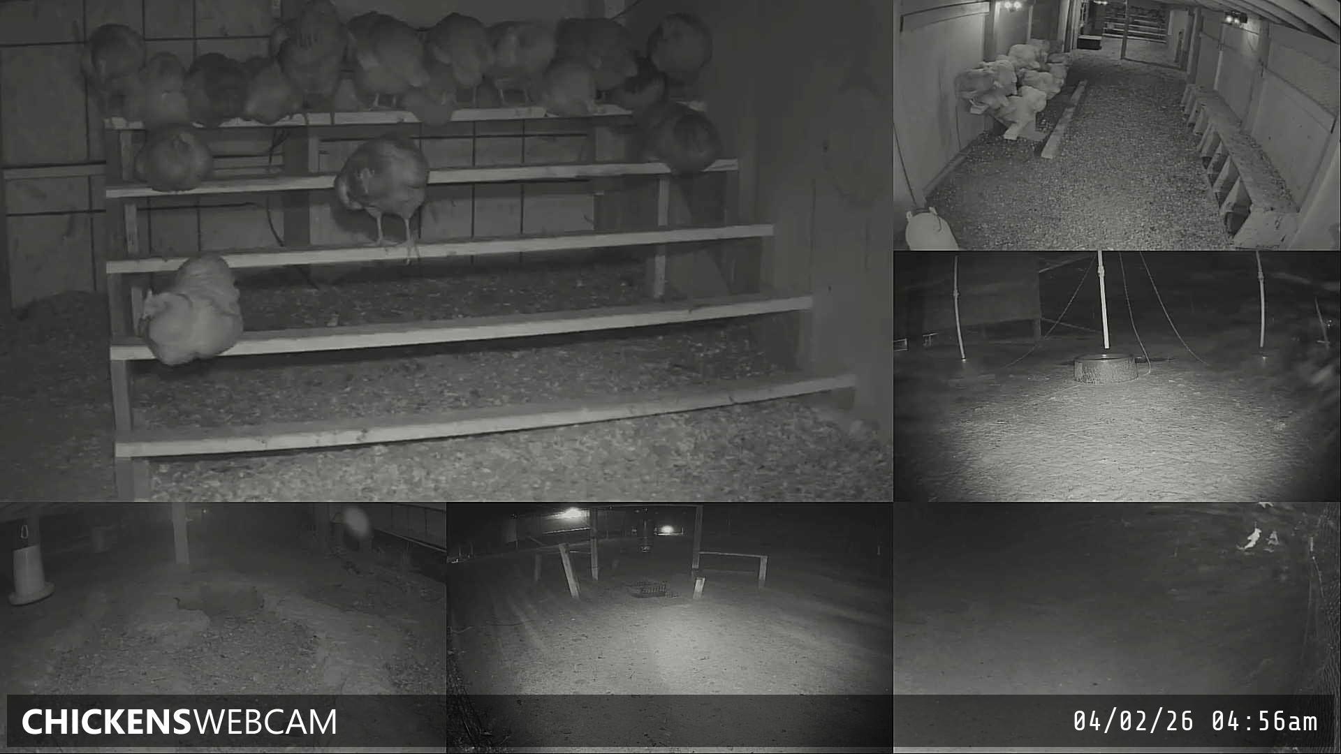 Twitch Stream Preview