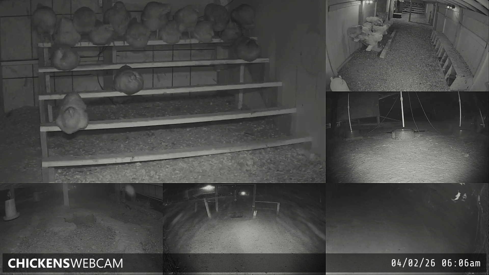 Twitch Stream Preview