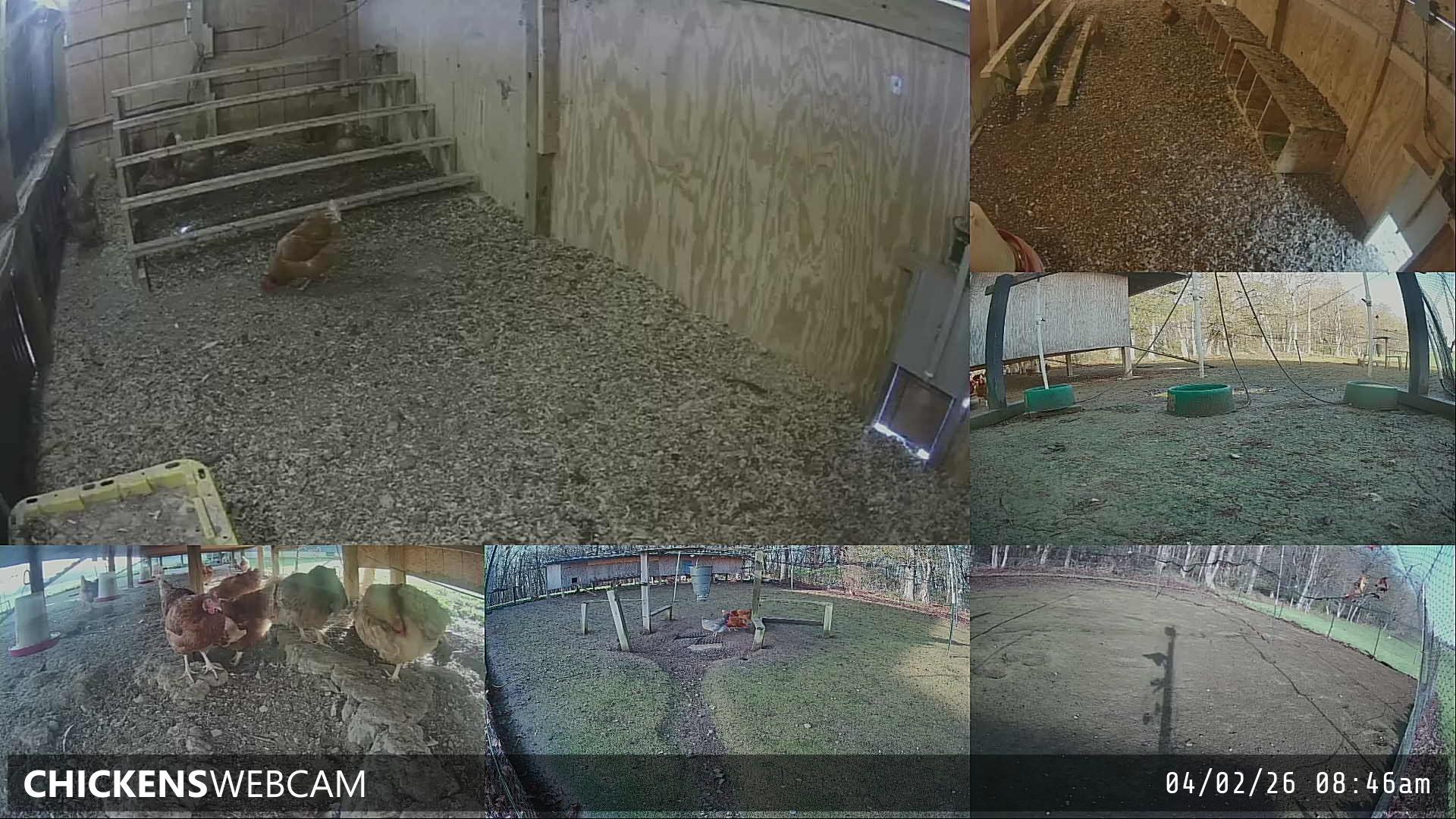 Twitch Stream Preview