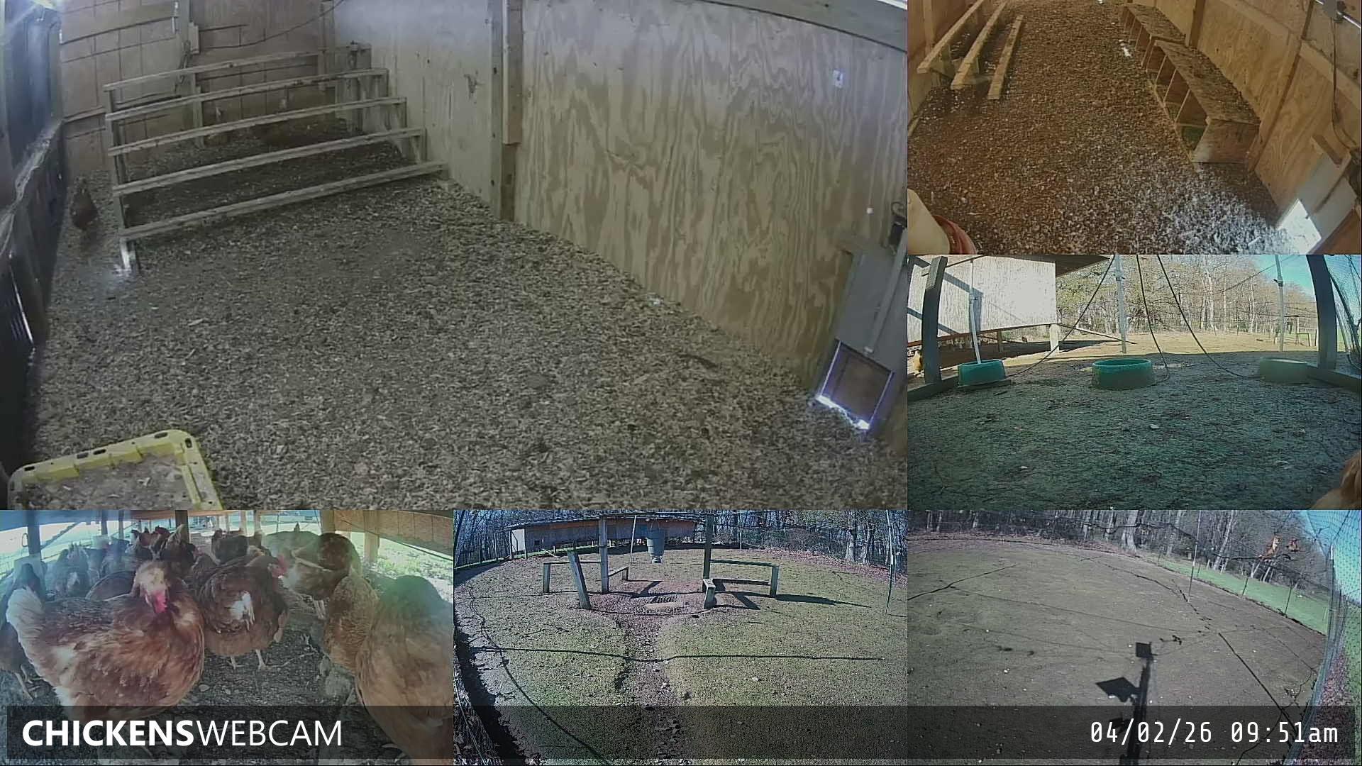 Twitch Stream Preview