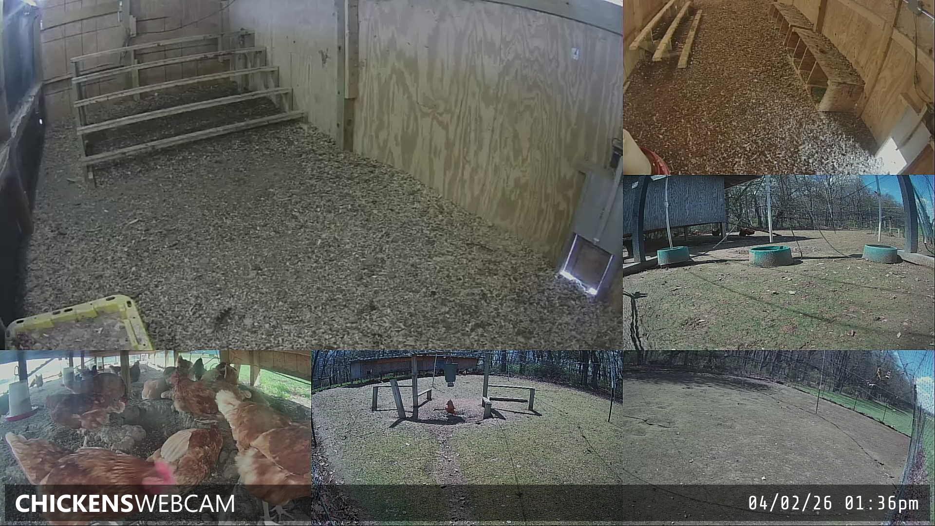 Twitch Stream Preview