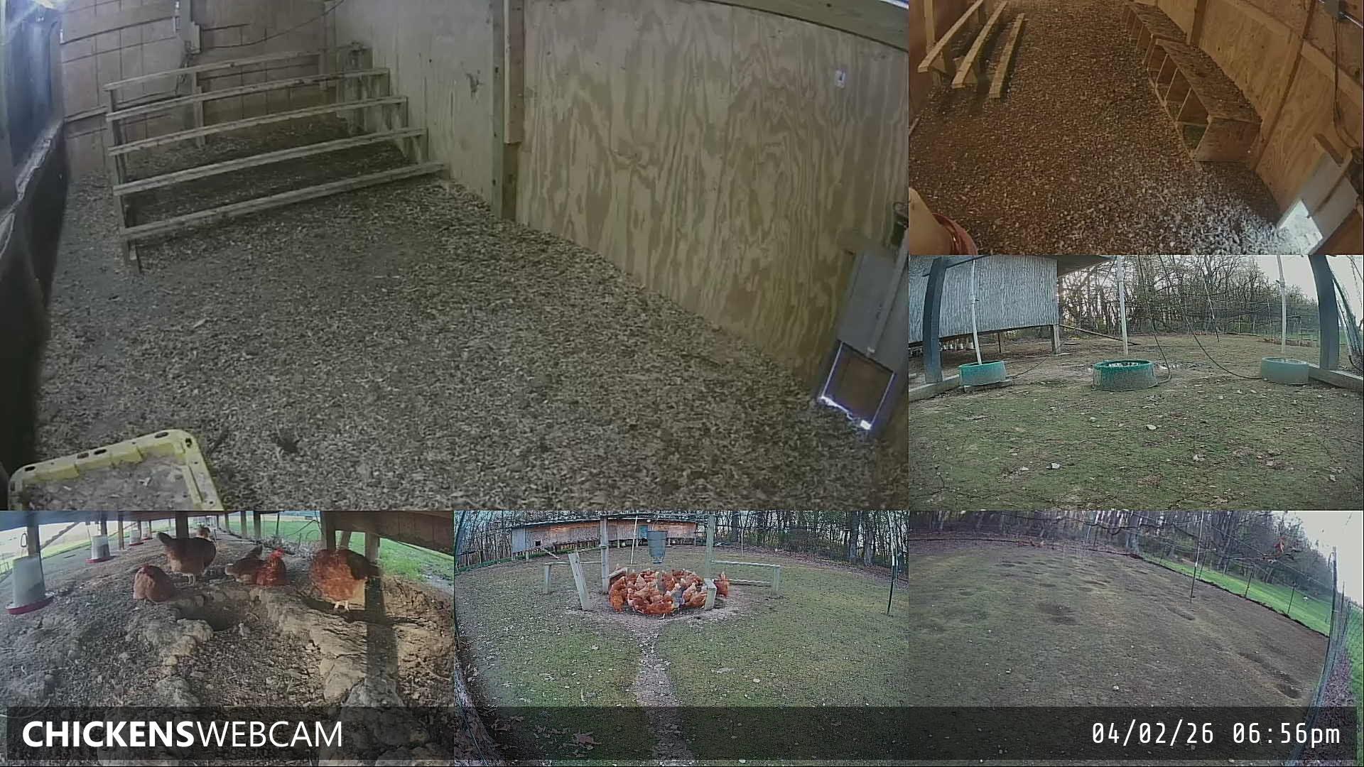 Twitch Stream Preview