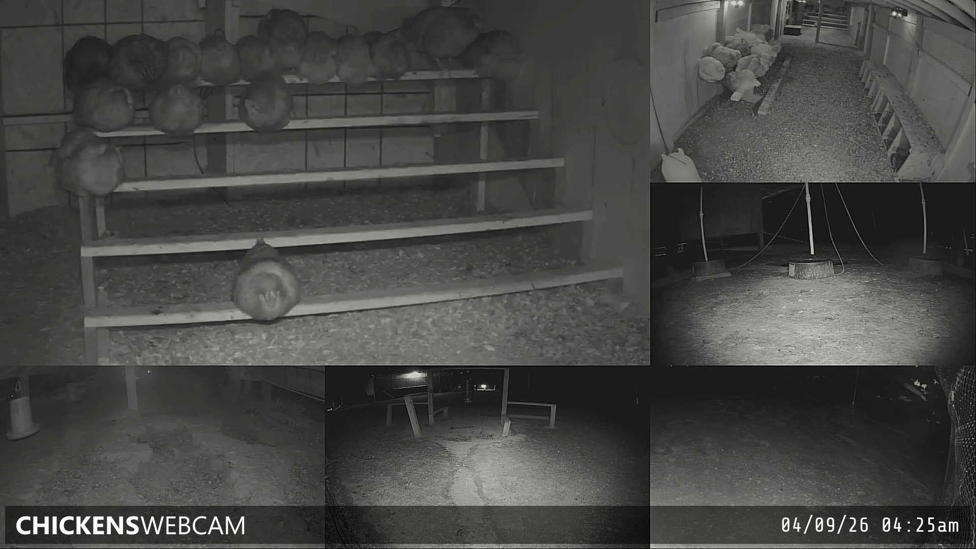 Twitch Stream Preview