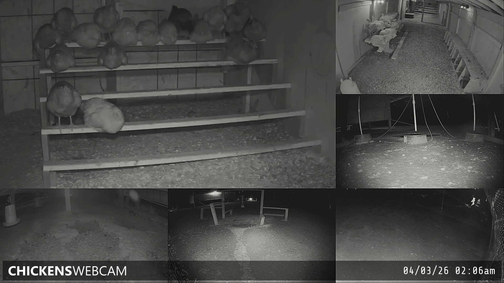 Twitch Stream Preview