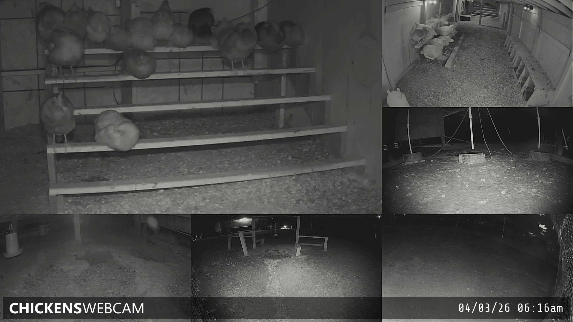 Twitch Stream Preview