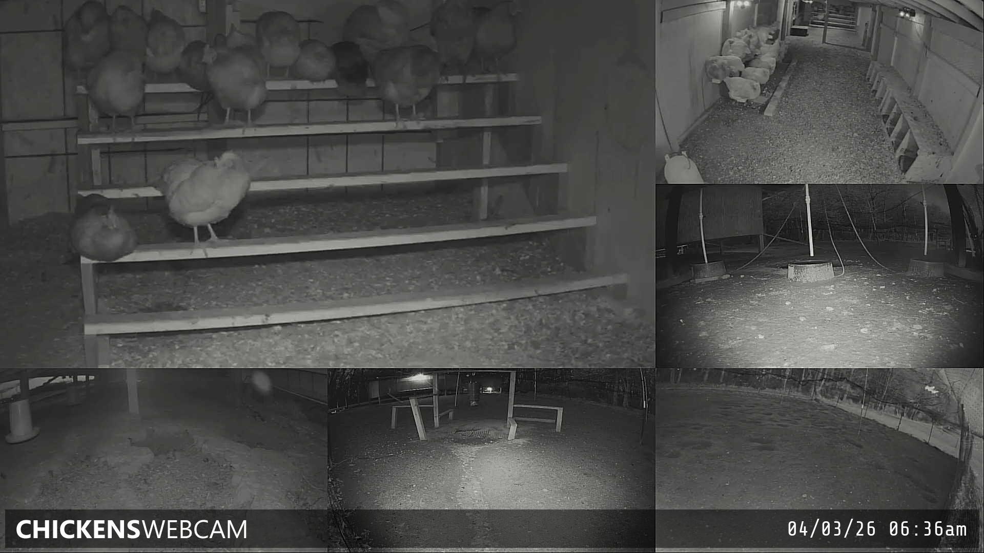 Twitch Stream Preview