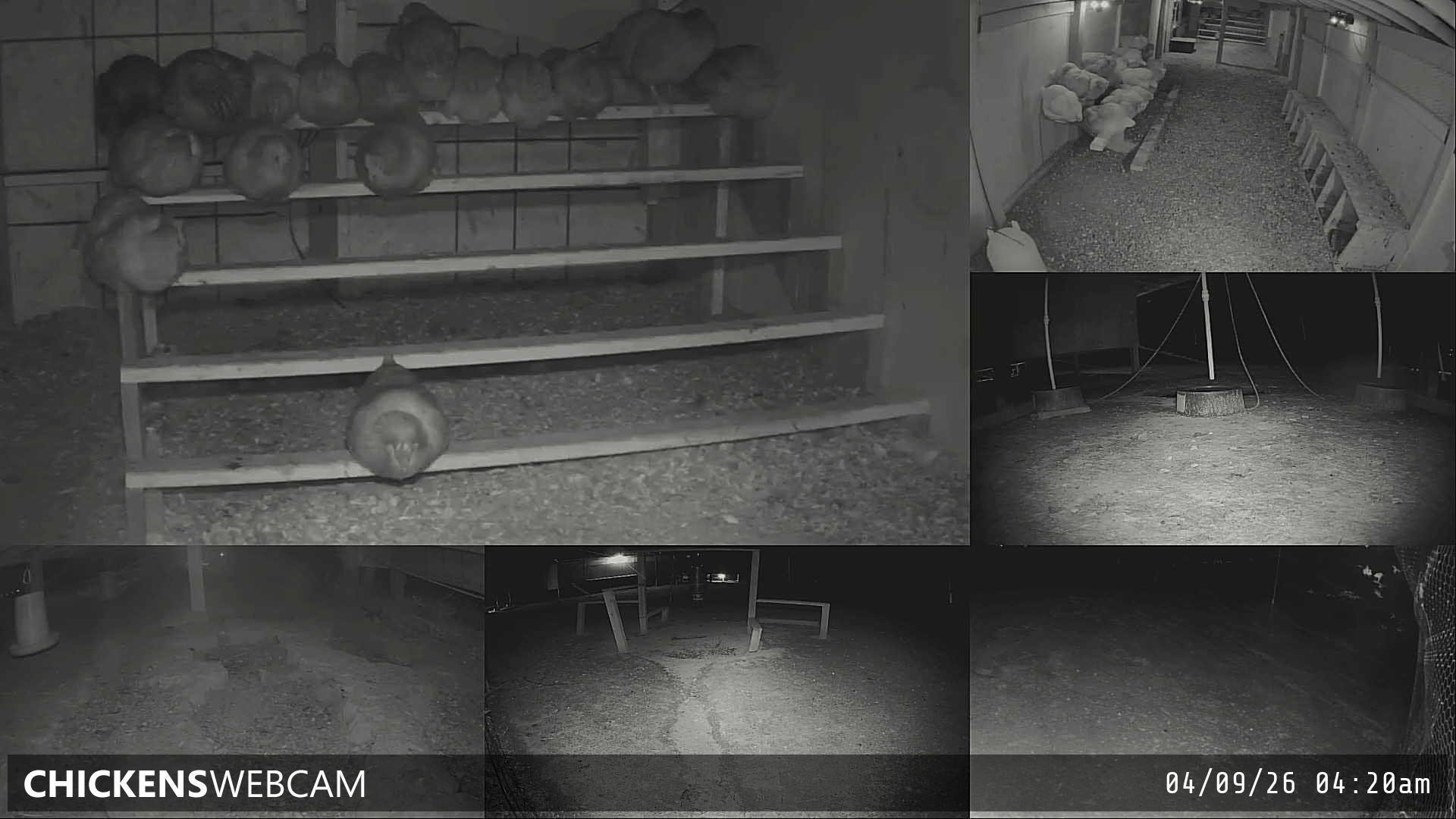 Twitch Stream Preview