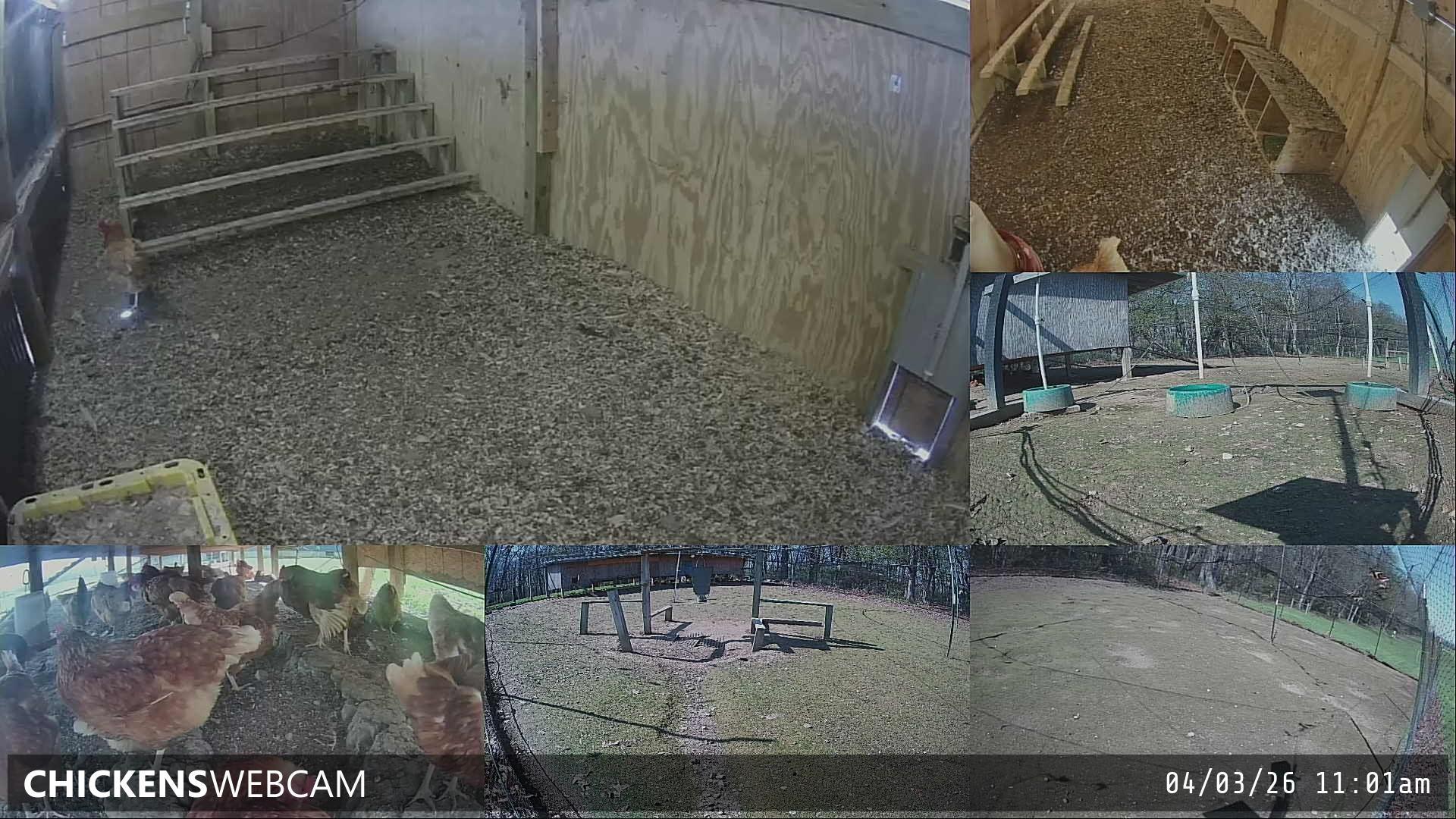 Twitch Stream Preview