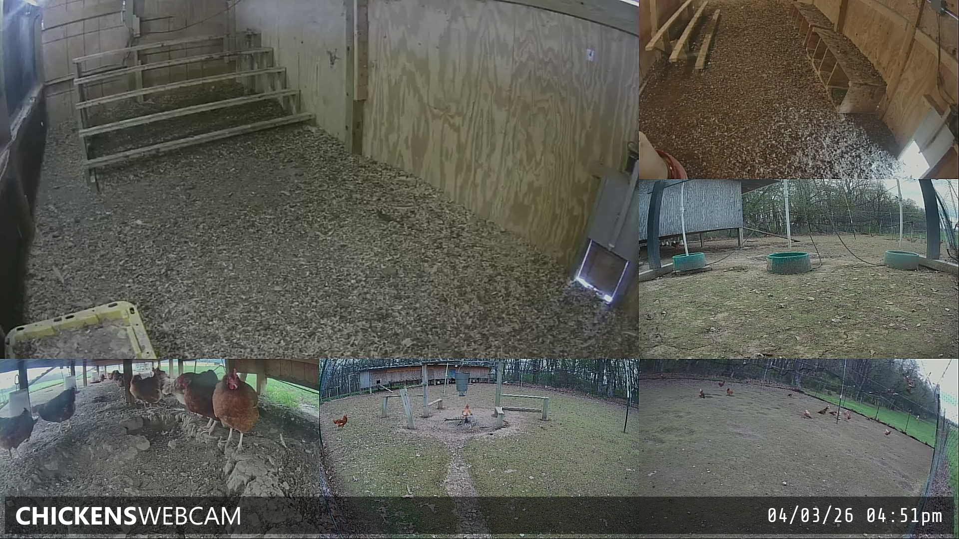 Twitch Stream Preview