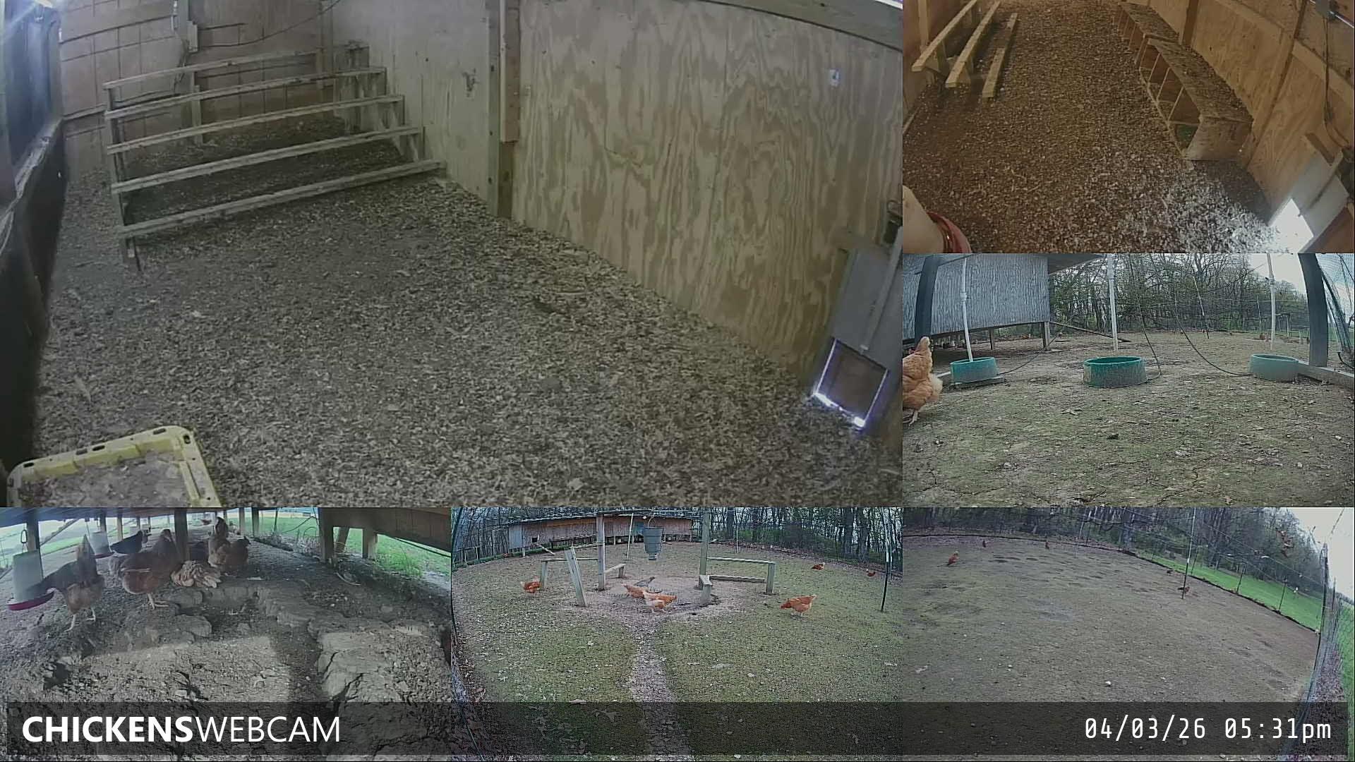 Twitch Stream Preview