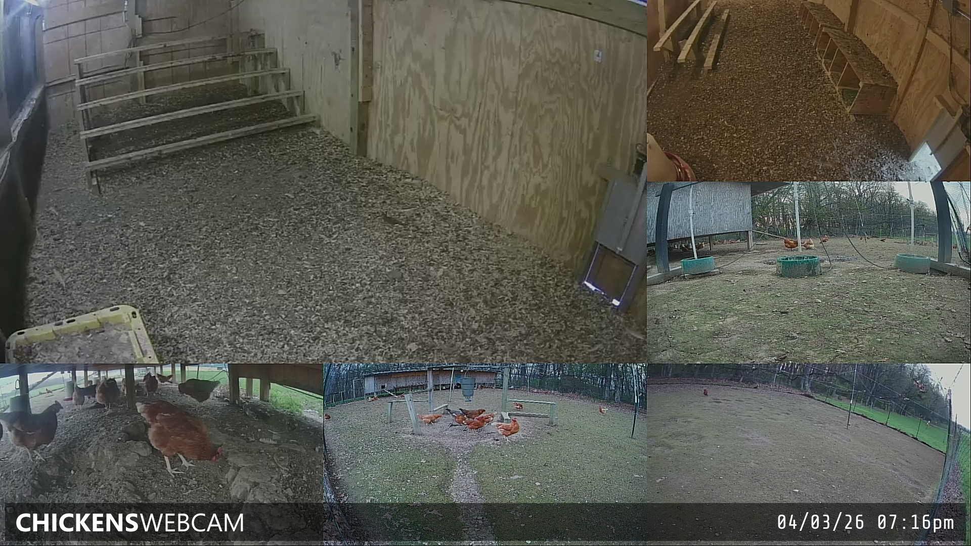 Twitch Stream Preview