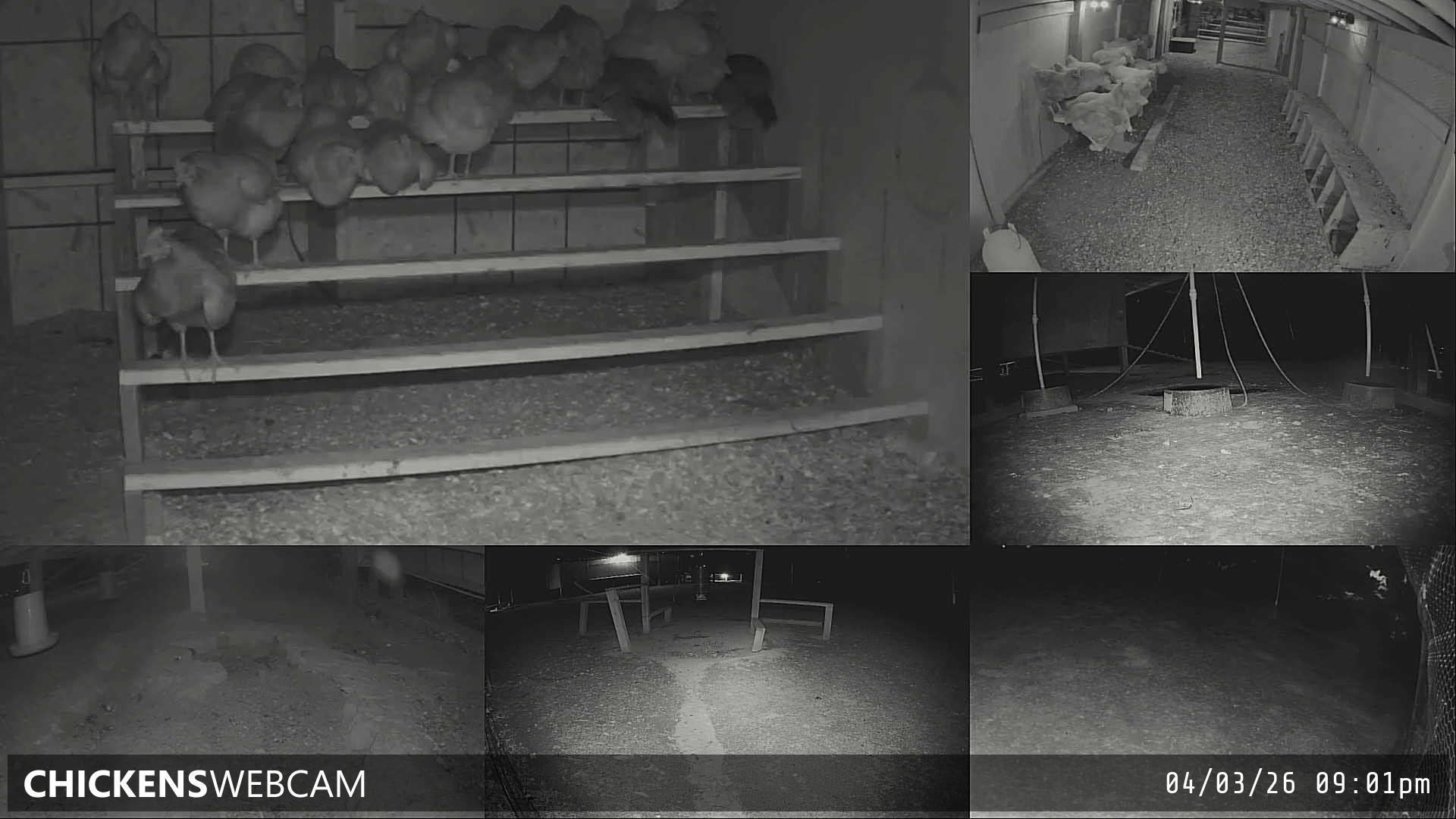 Twitch Stream Preview