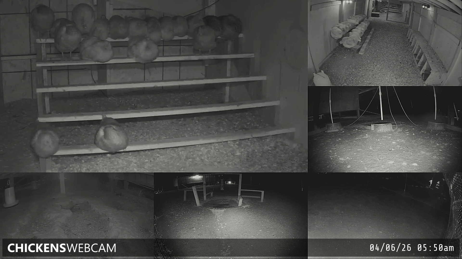 Twitch Stream Preview