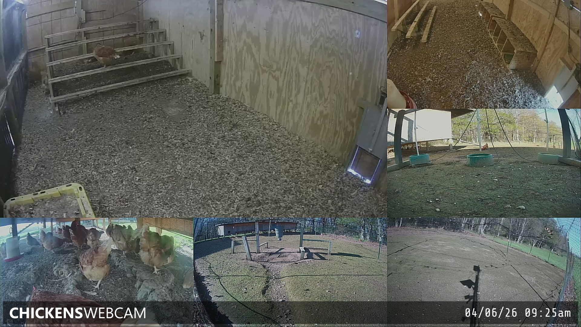 Twitch Stream Preview