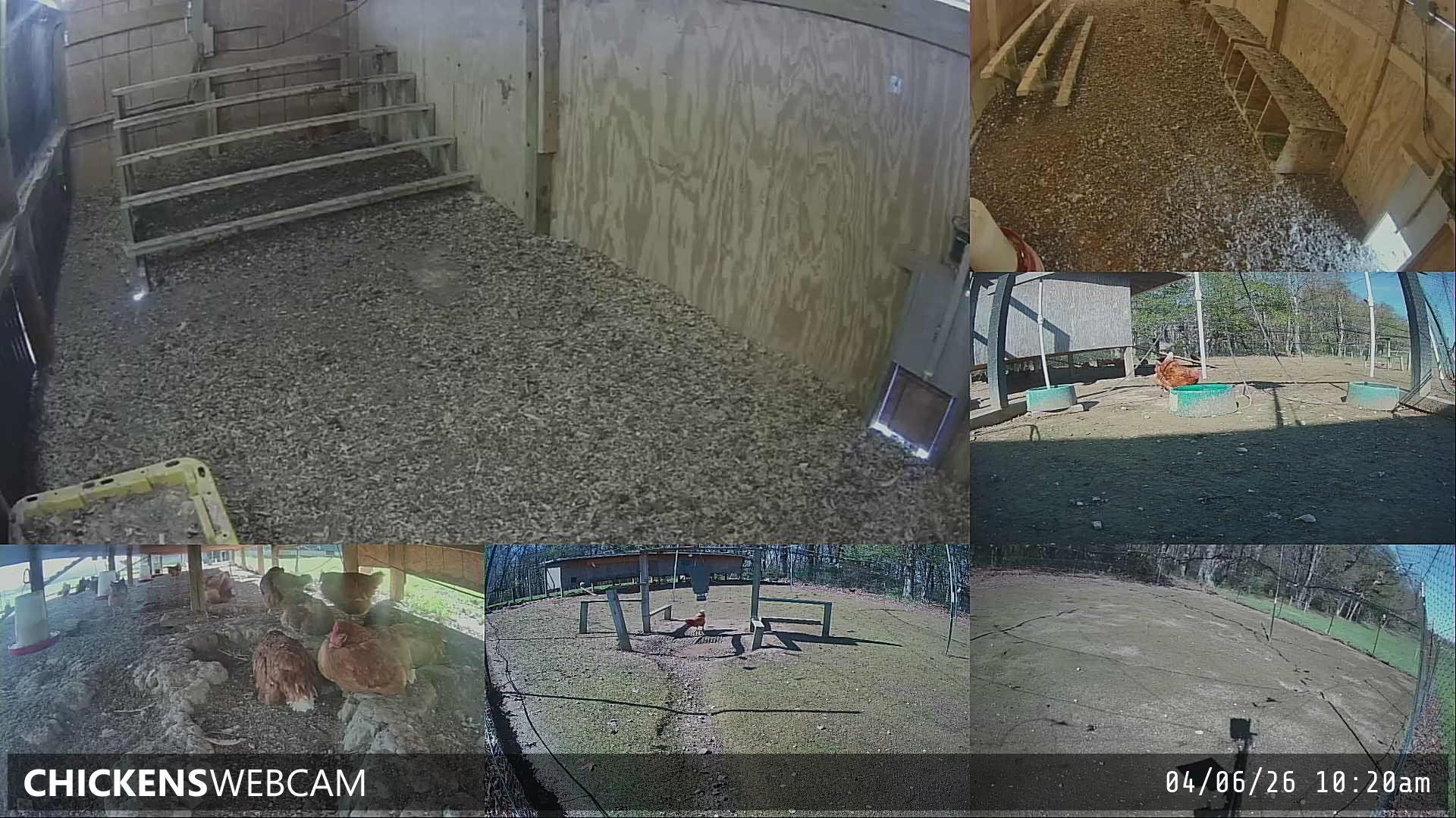 Twitch Stream Preview