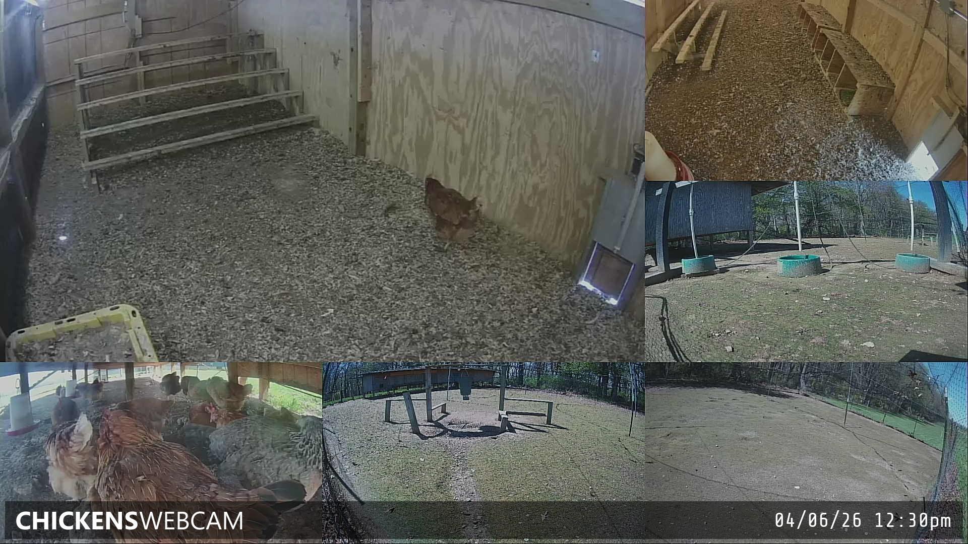 Twitch Stream Preview