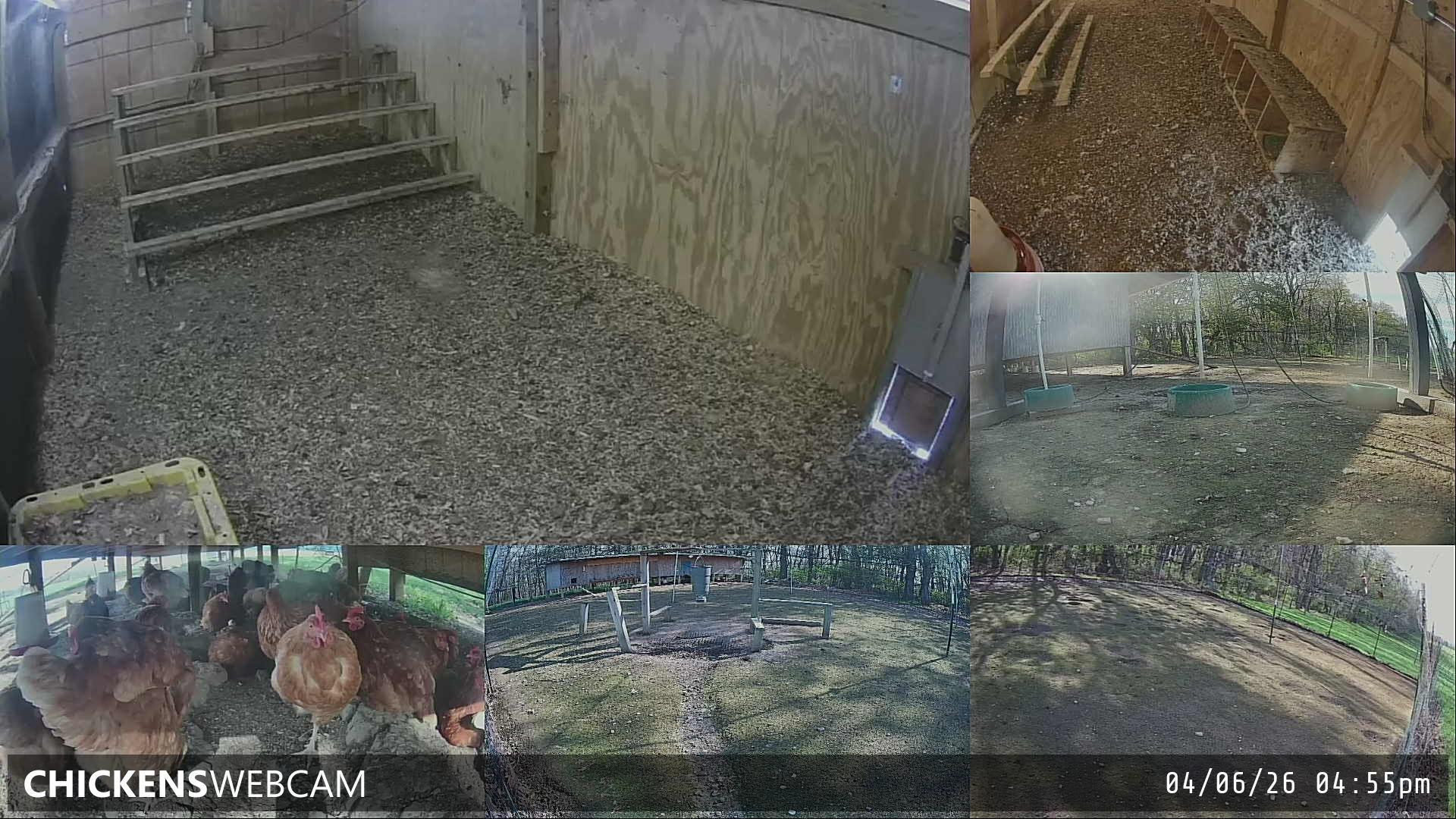 Twitch Stream Preview