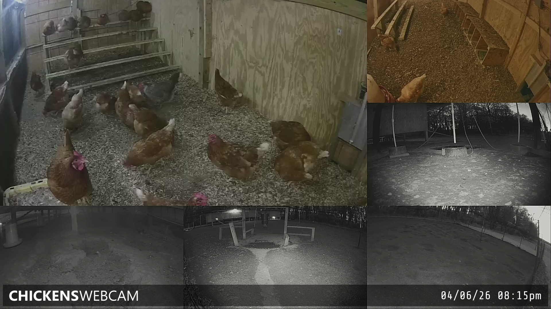 Twitch Stream Preview