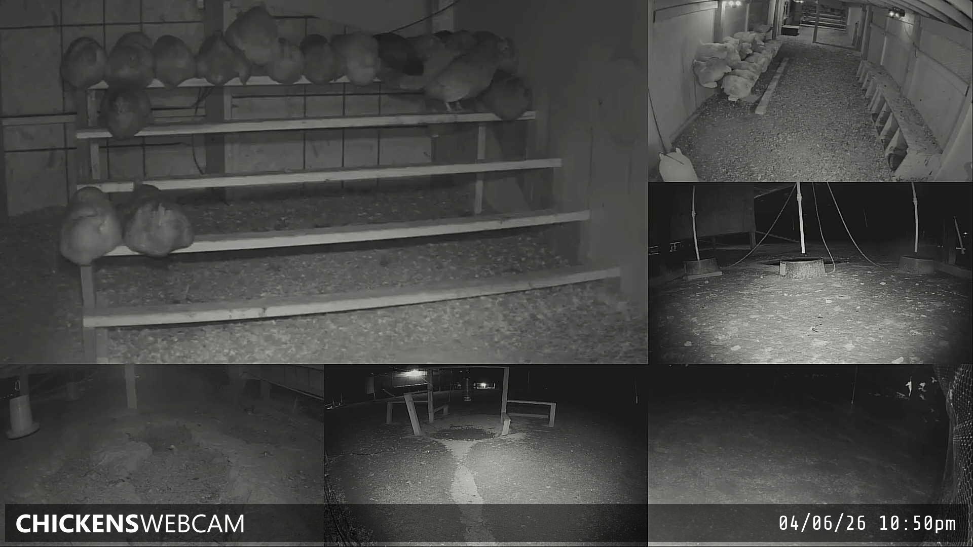 Twitch Stream Preview