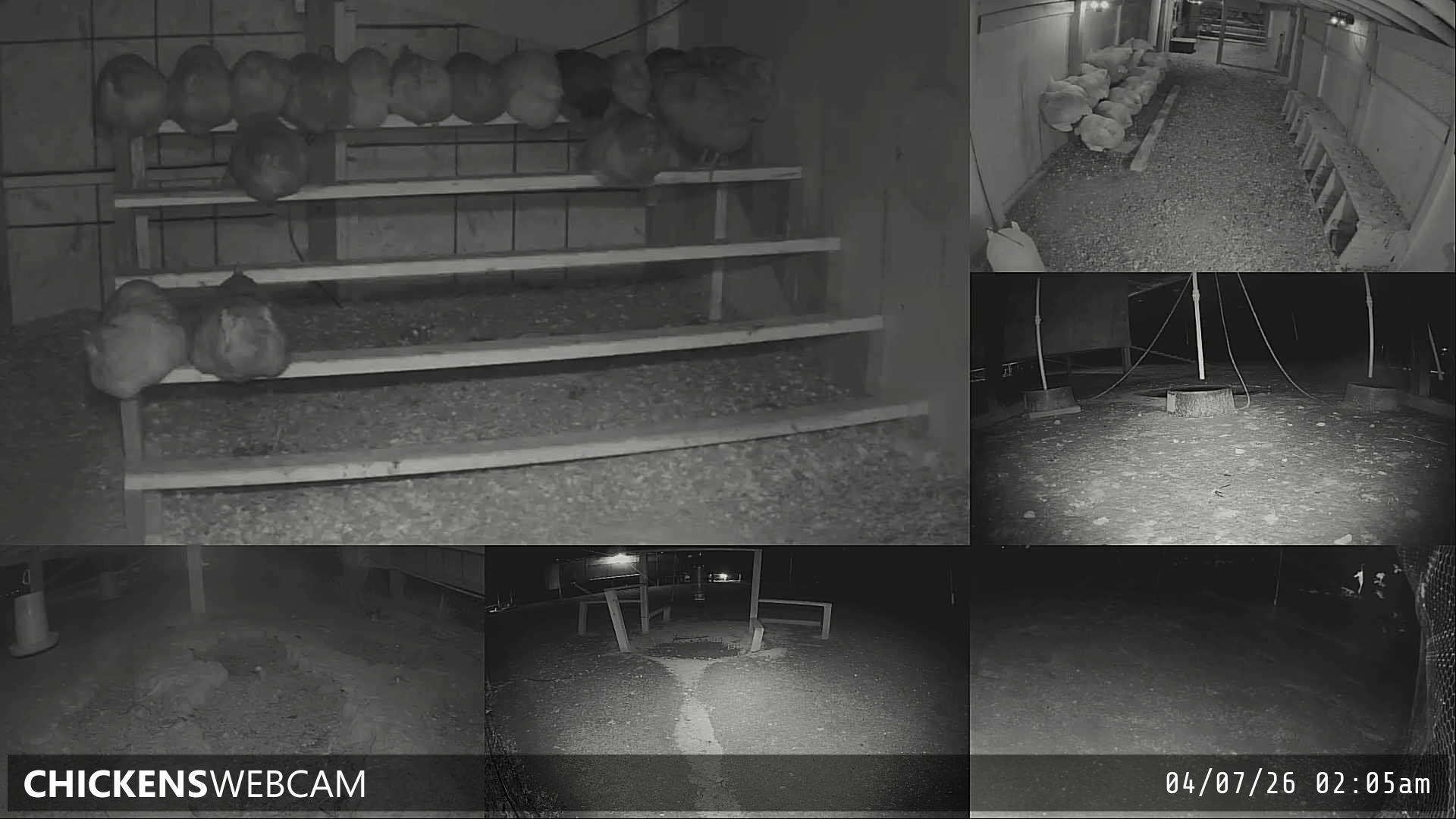 Twitch Stream Preview