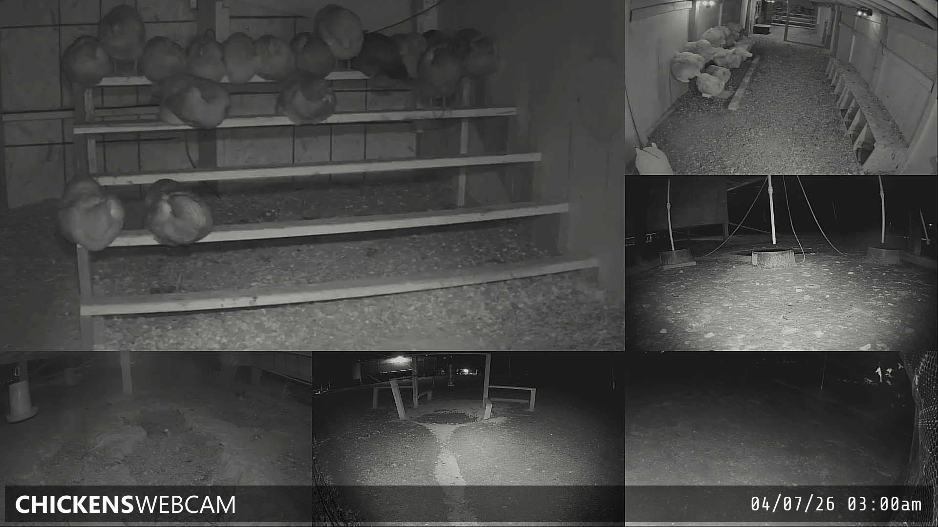 Twitch Stream Preview