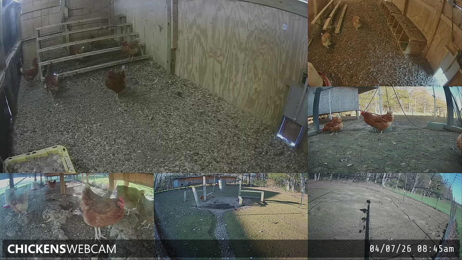 Twitch Stream Preview