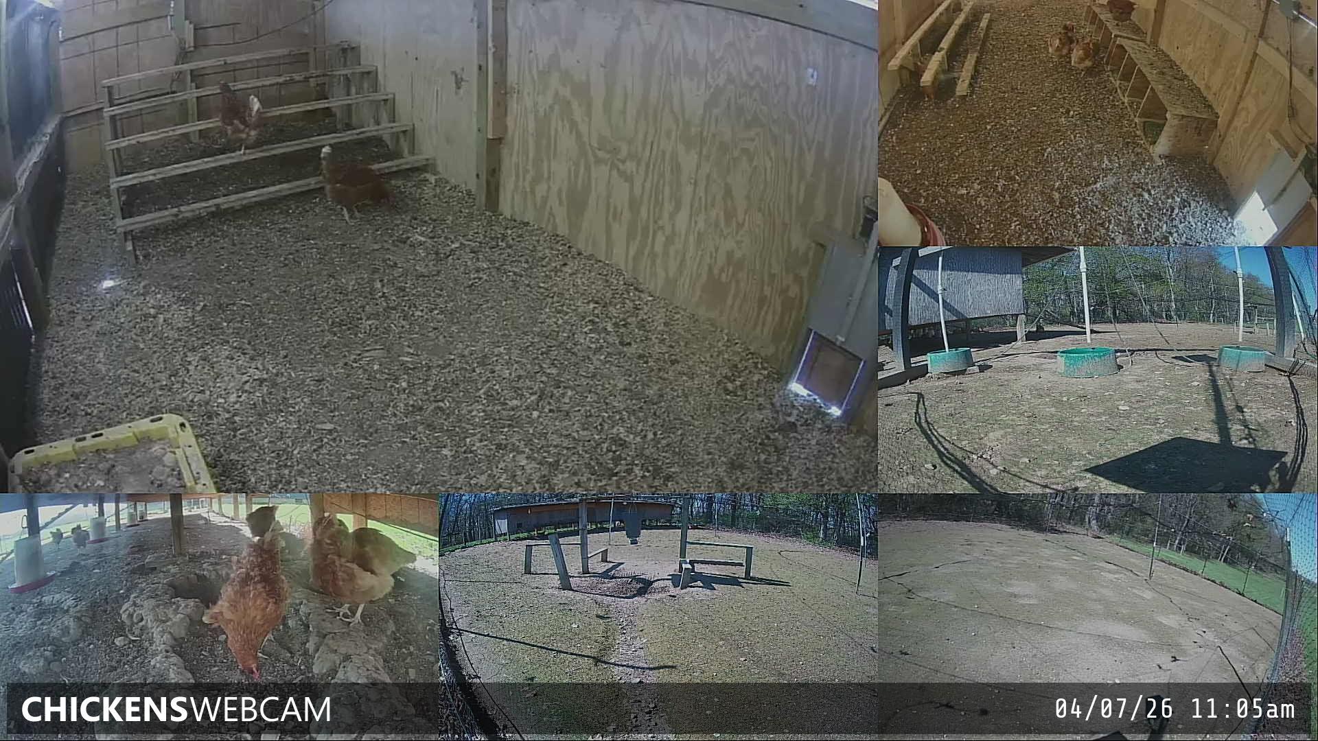 Twitch Stream Preview